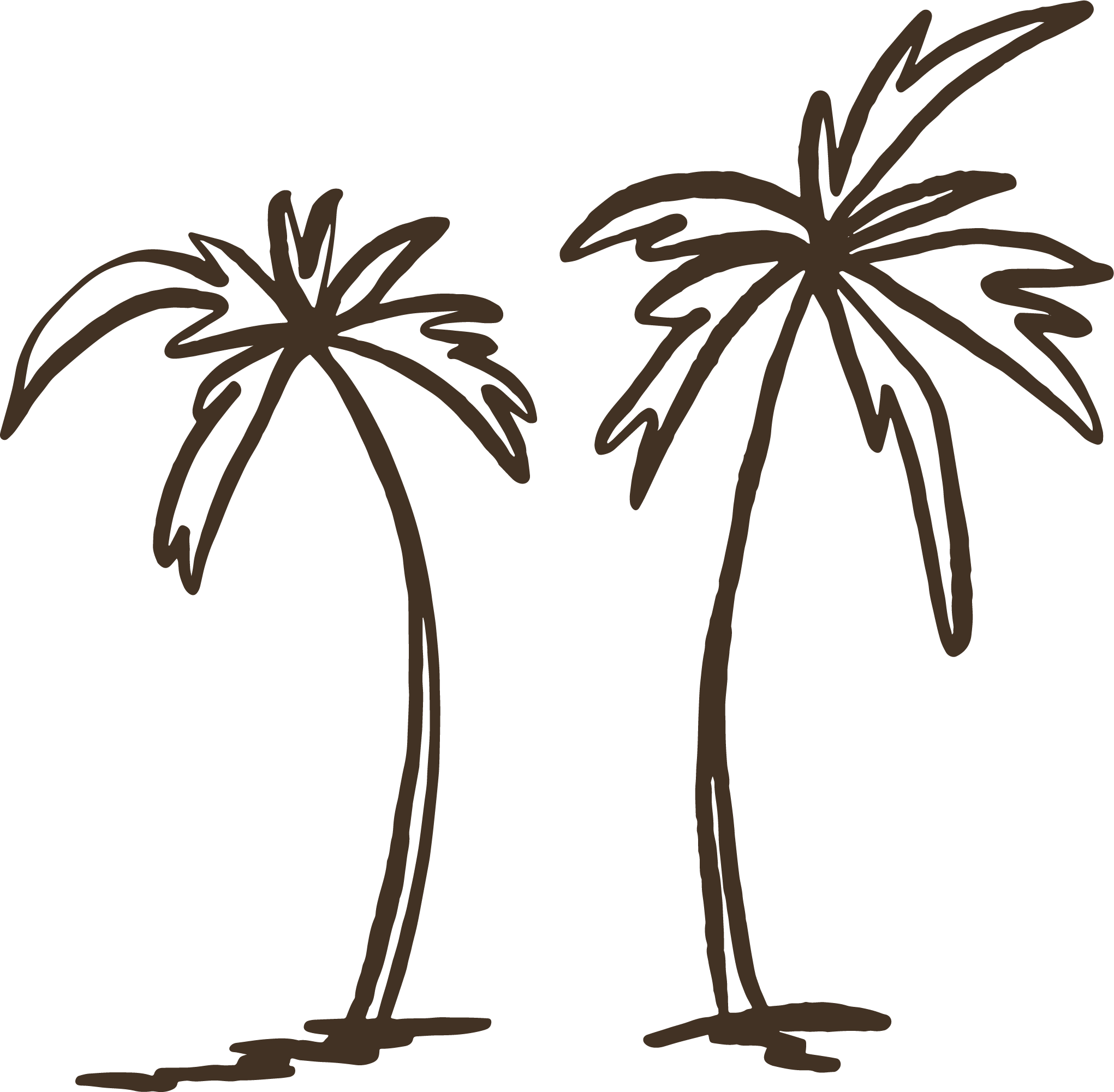 custom illustrations and logos for photographers 85