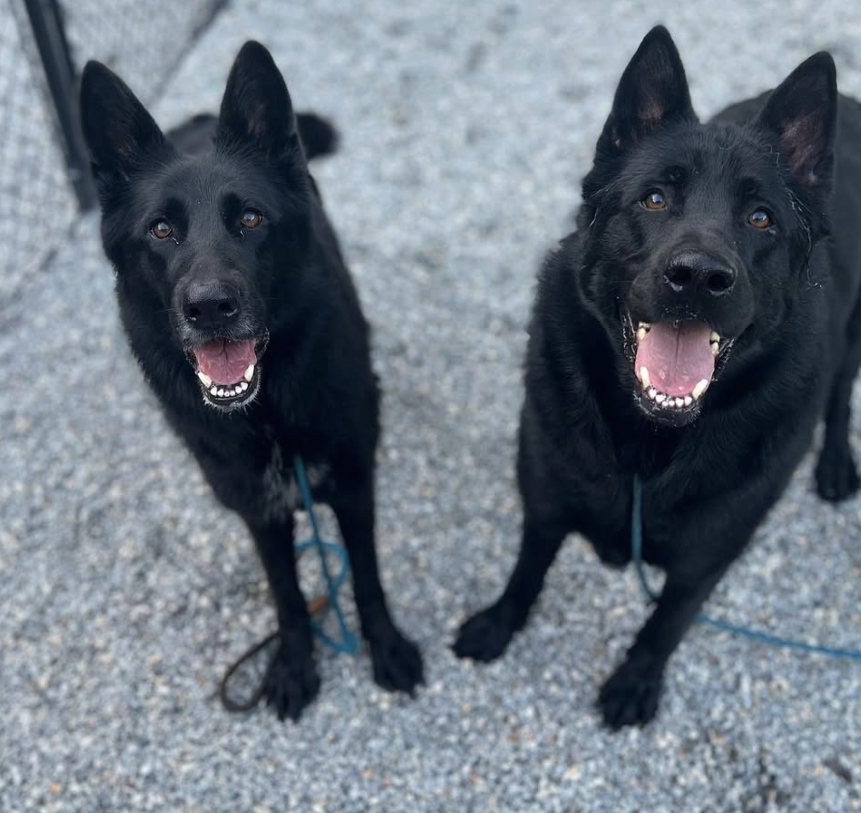 Screenshot 2025-10-24 at 2.39.51 PM