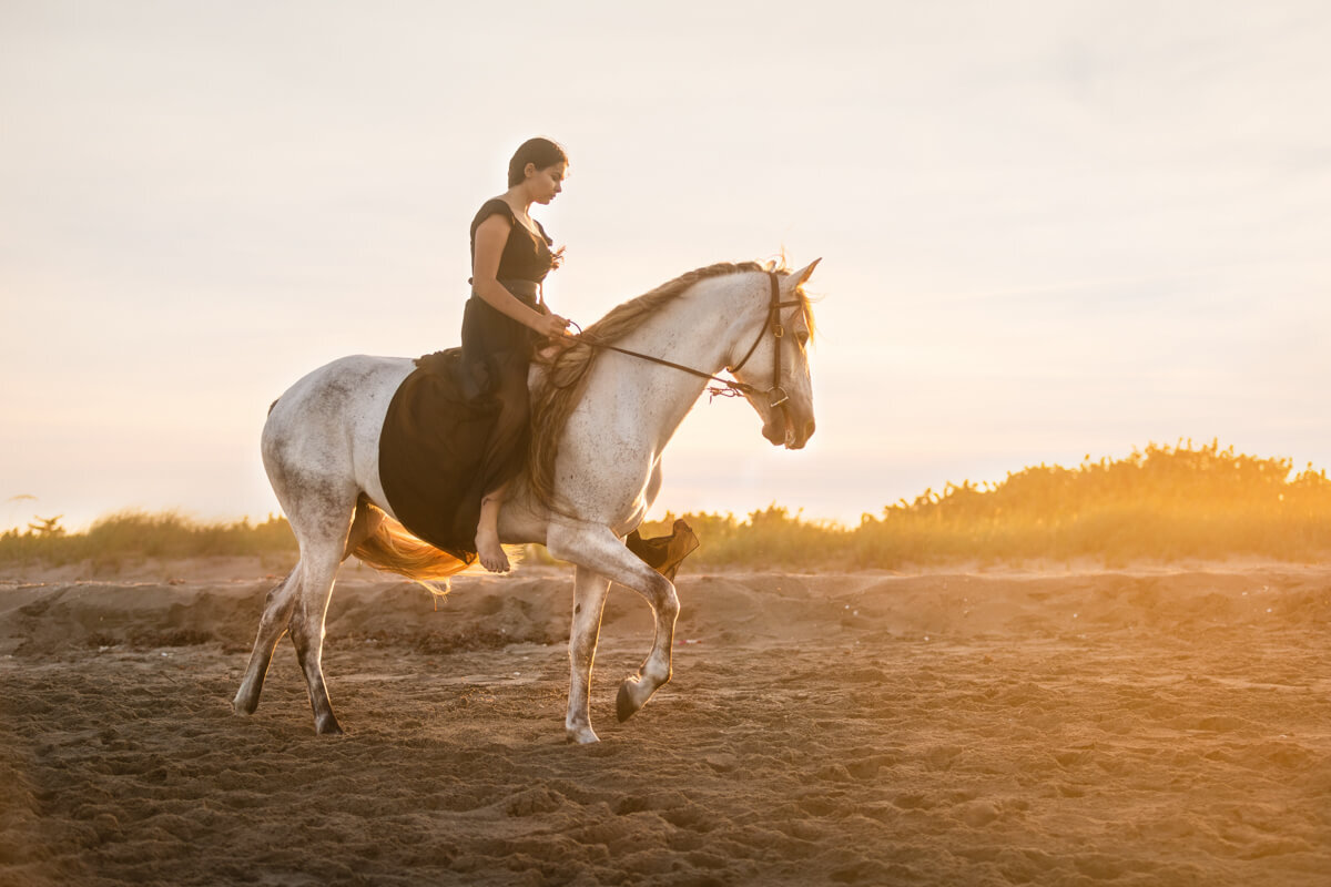 El-Paso-Texas-Horse-Photographer-022