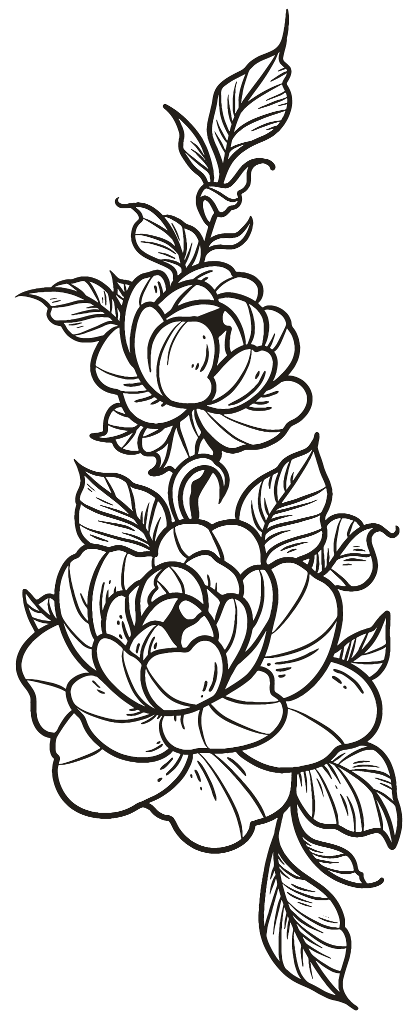 custom illustrations and logos for photographers 31
