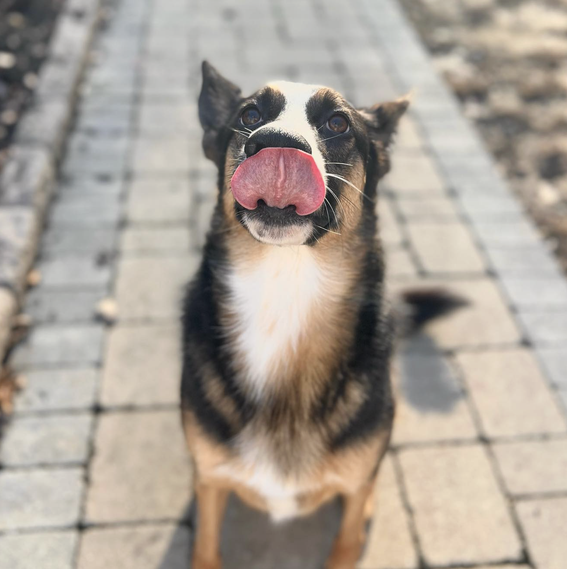 Screenshot 2025-10-24 at 2.39.14 PM