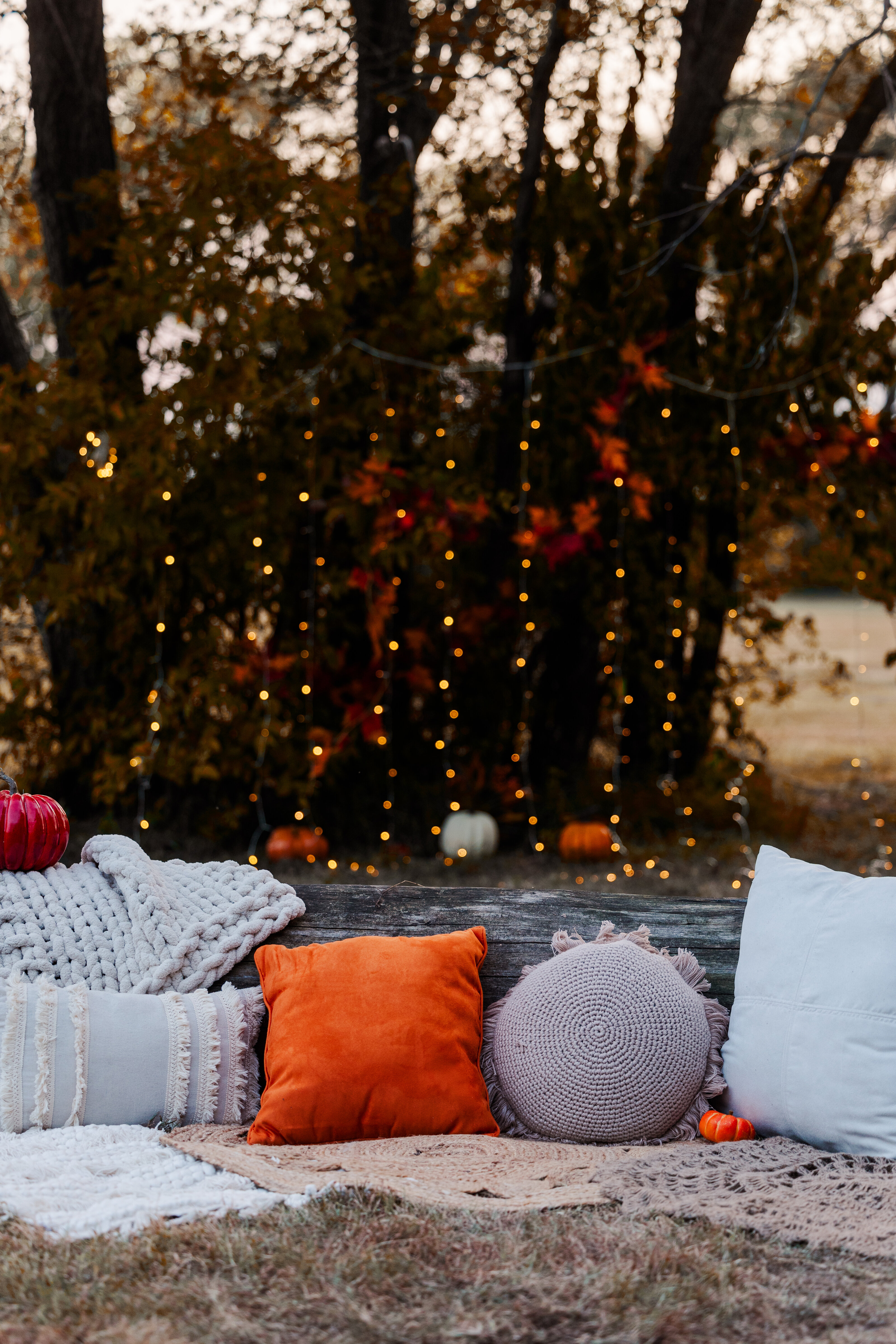 jeanizecilliersphotograph-styledfallmini-2