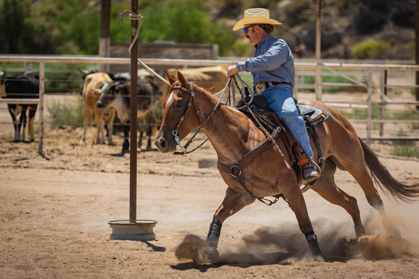 El-Paso-Texas-Horse-Show-Photographer-068