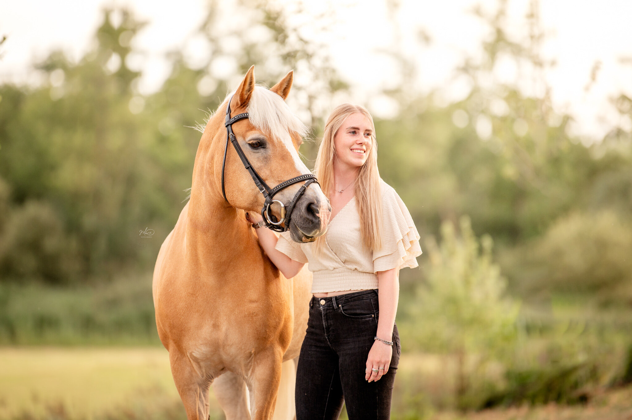 paardenfotograaf friesland (5)
