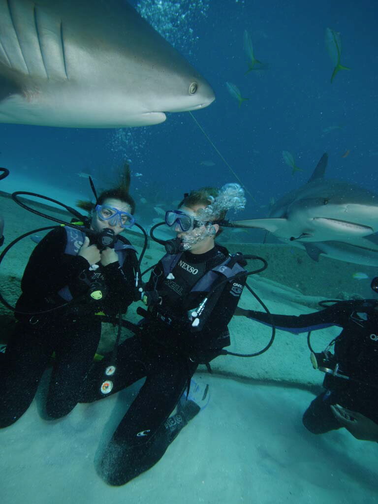Scouting for a Bachelor Date