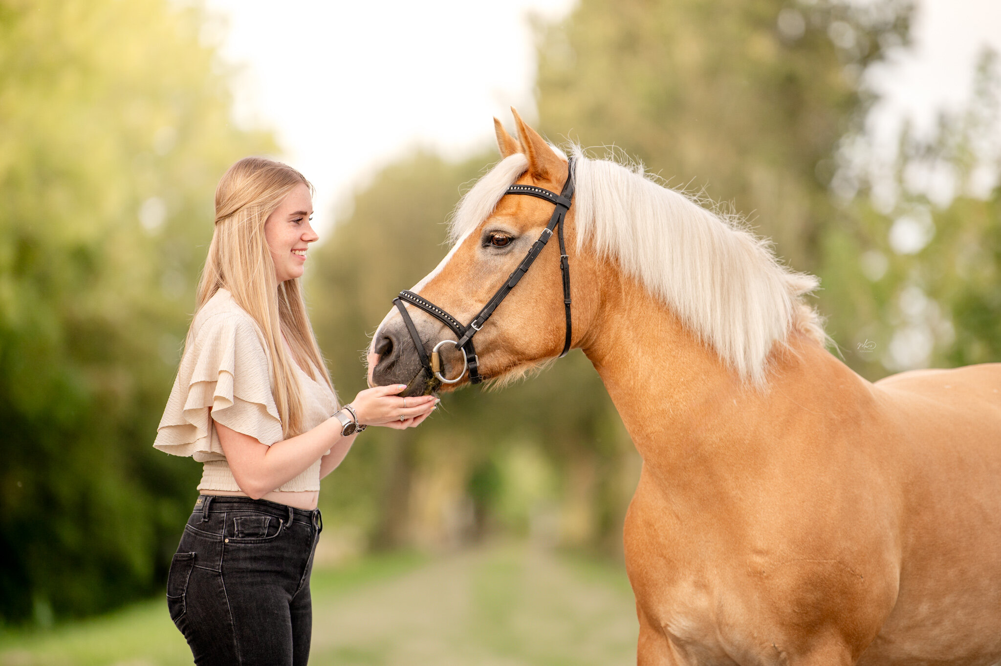 paardenfotograaf friesland (6)