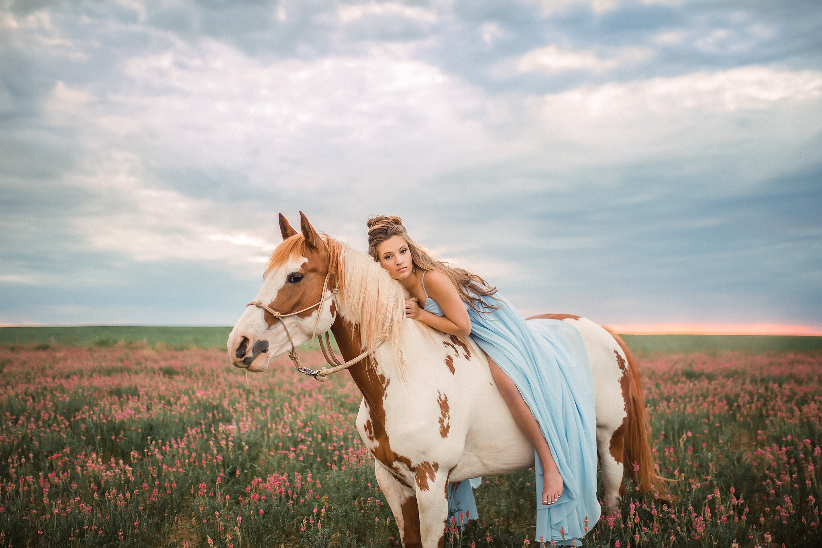 woman with long dark hair laying on brown and white paint horse at sunset in a field of pink flowers