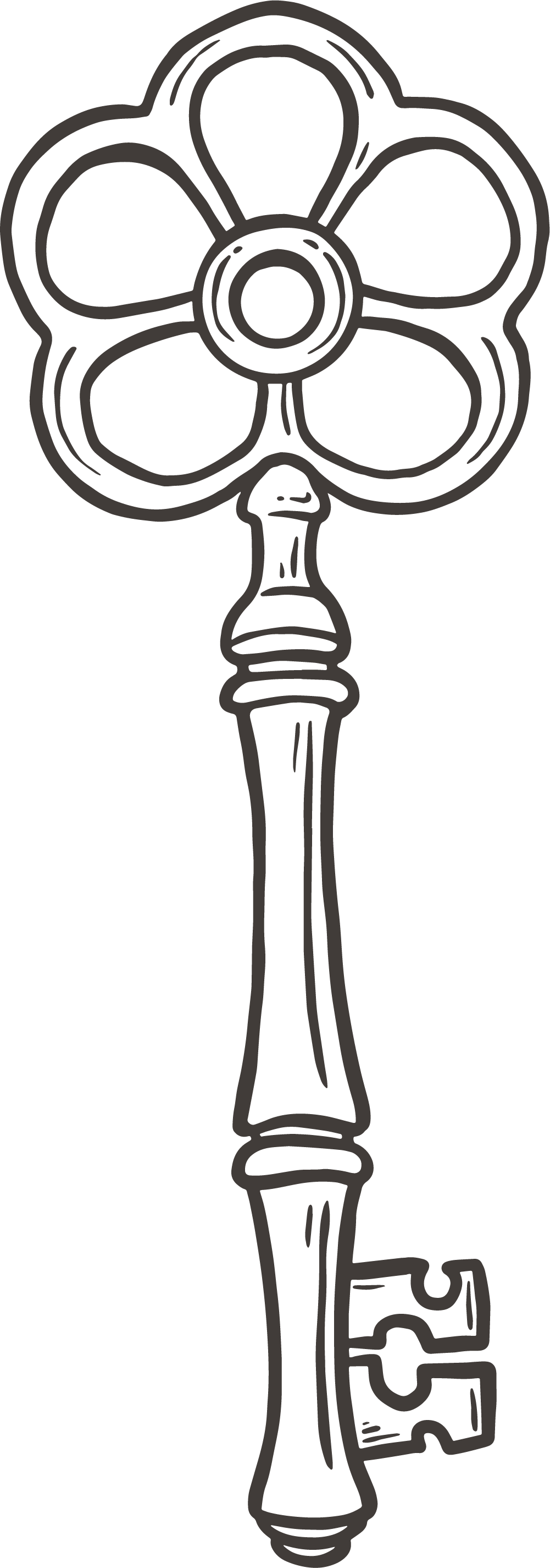 custom illustrations and logos for photographers 16