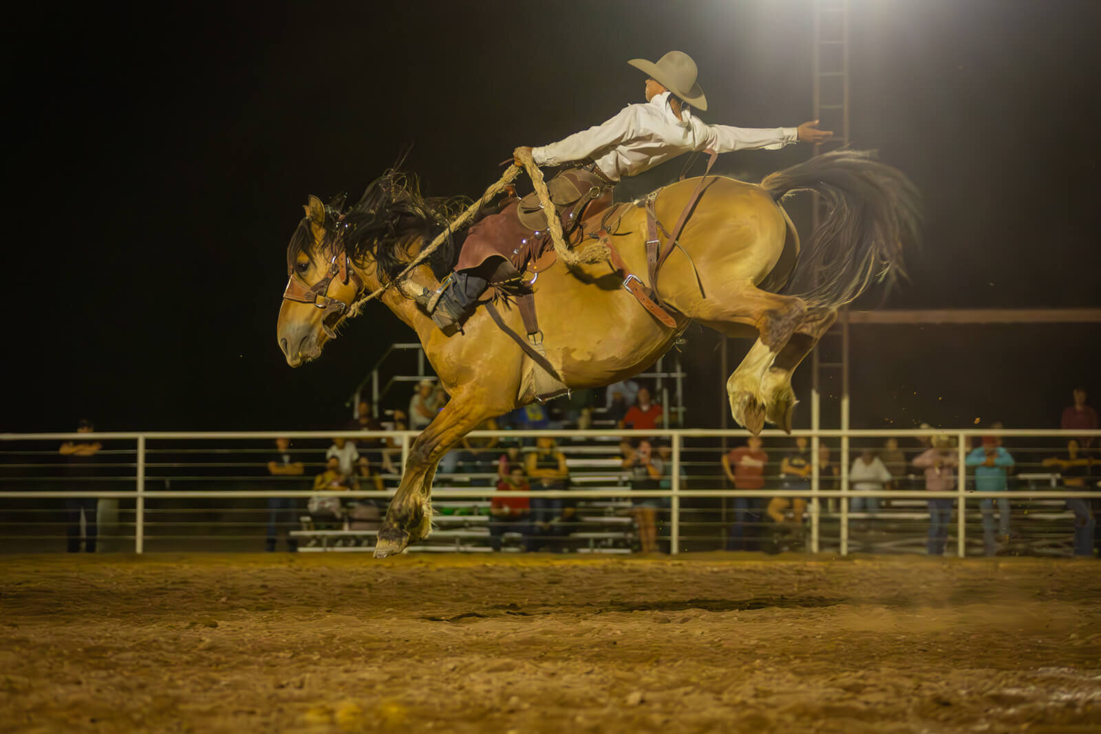 El-Paso-Texas-Horse-Show-Photographer-065