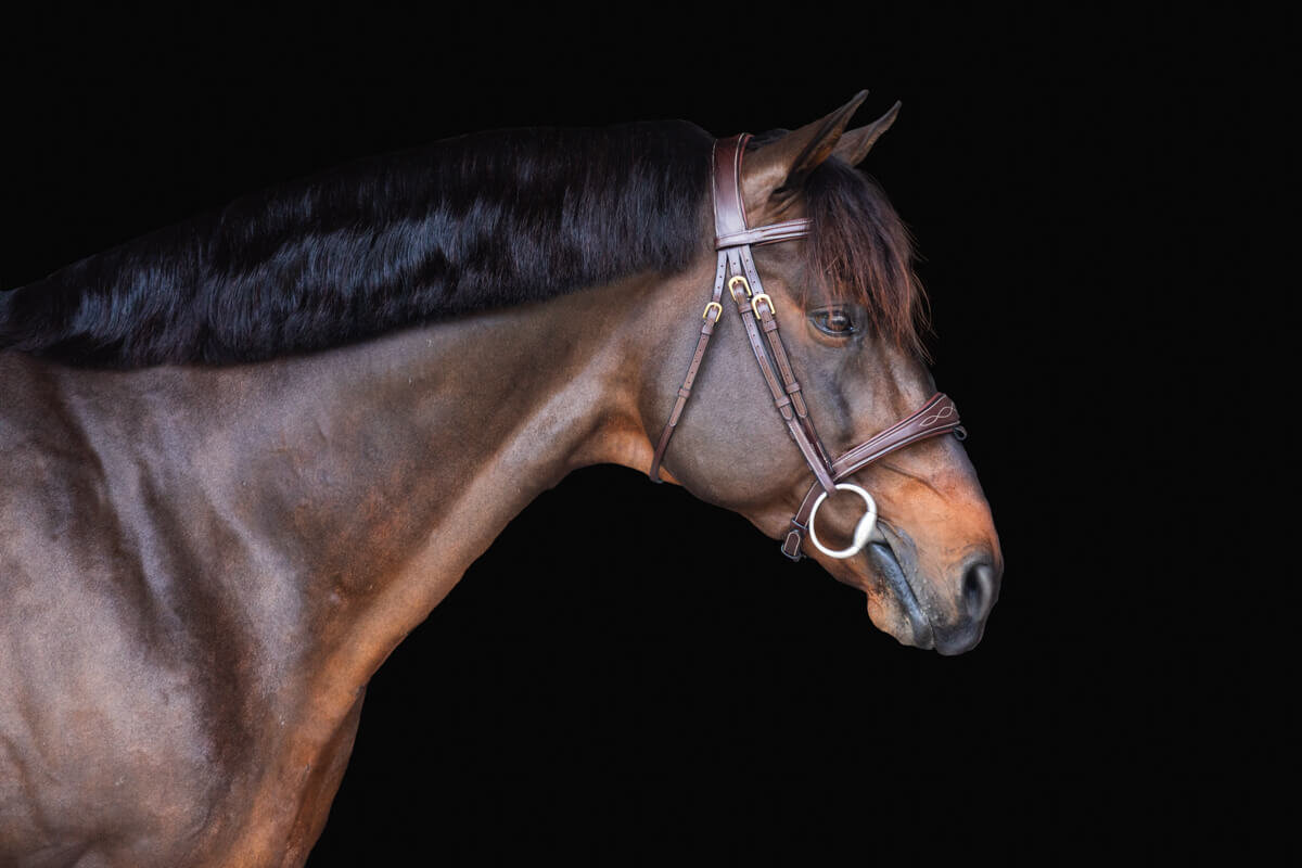 El-Paso-Texas-Fine-Art-Horse-Photographer-025