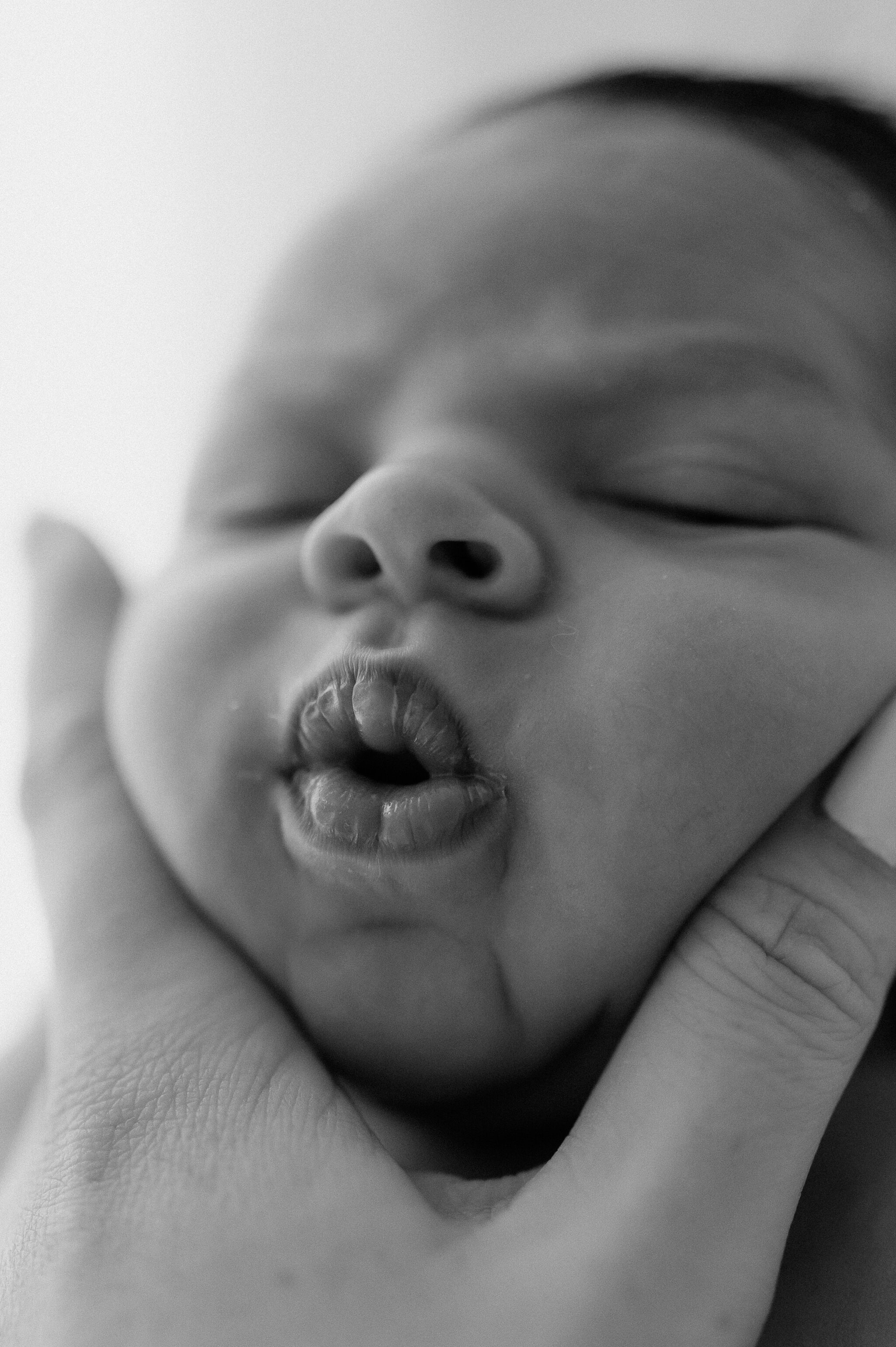 York newborn photographer viral_-200