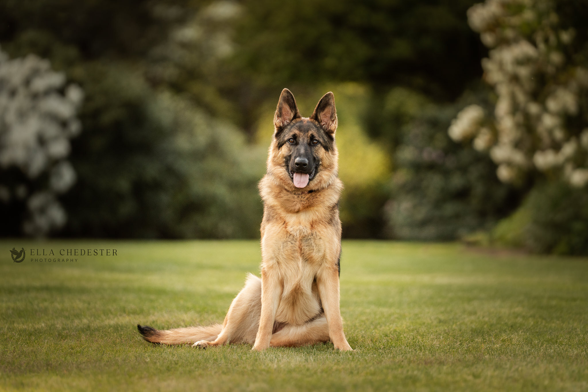 Kiera at the Tulips (58) Web