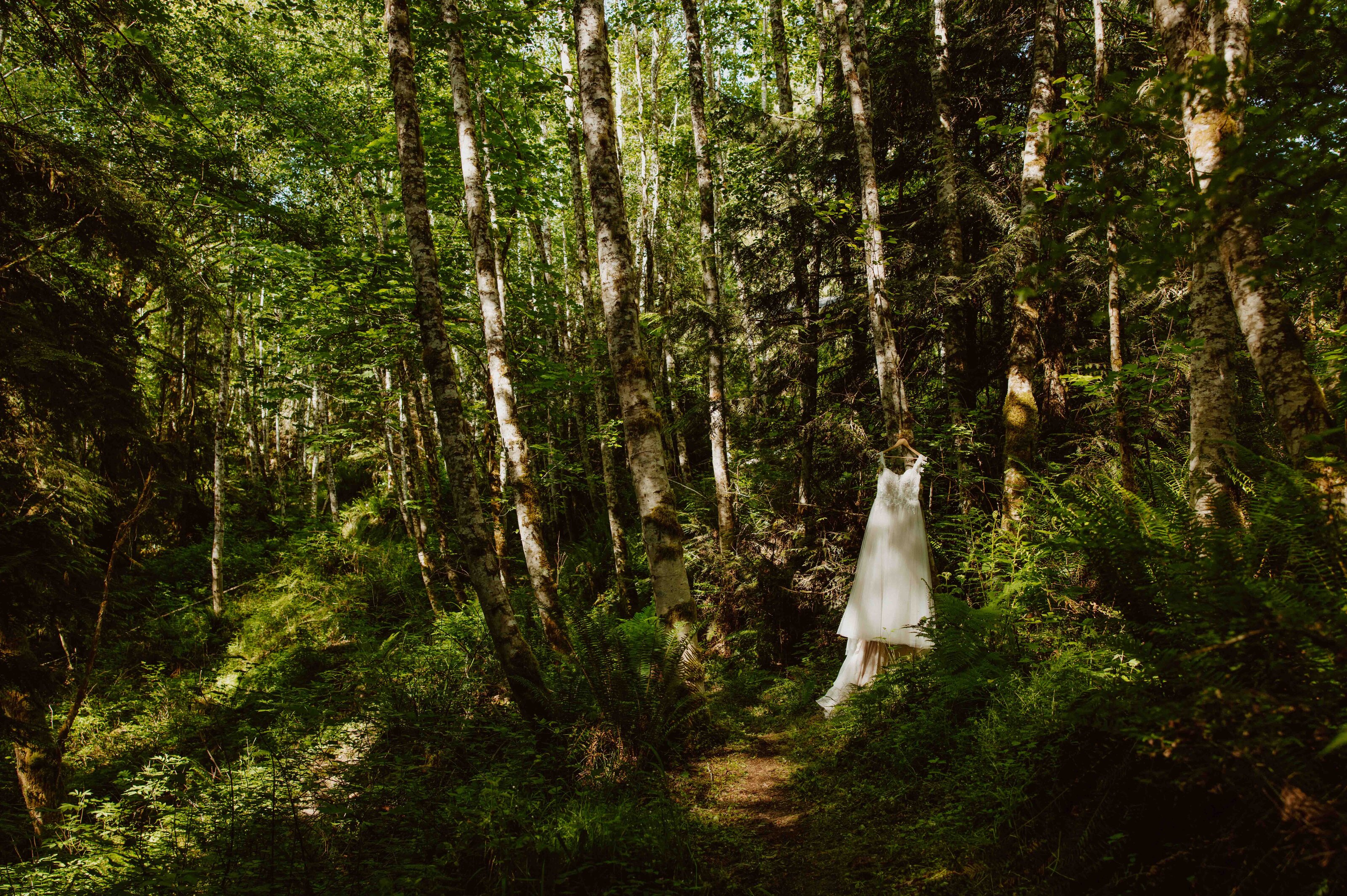 Washington bride at dusk on elopement day