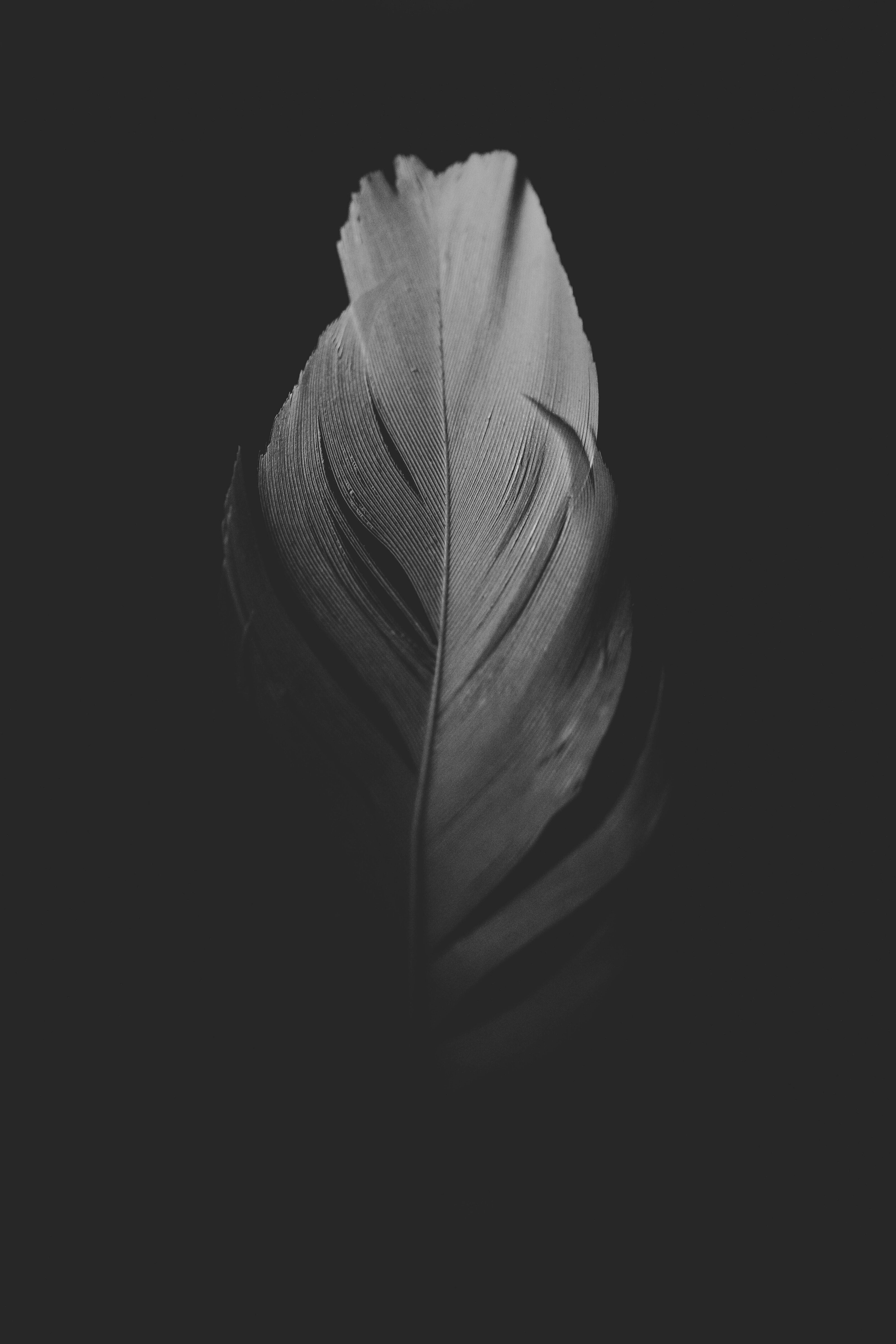 irina-krutova-Fd3venp8kIU-unsplash