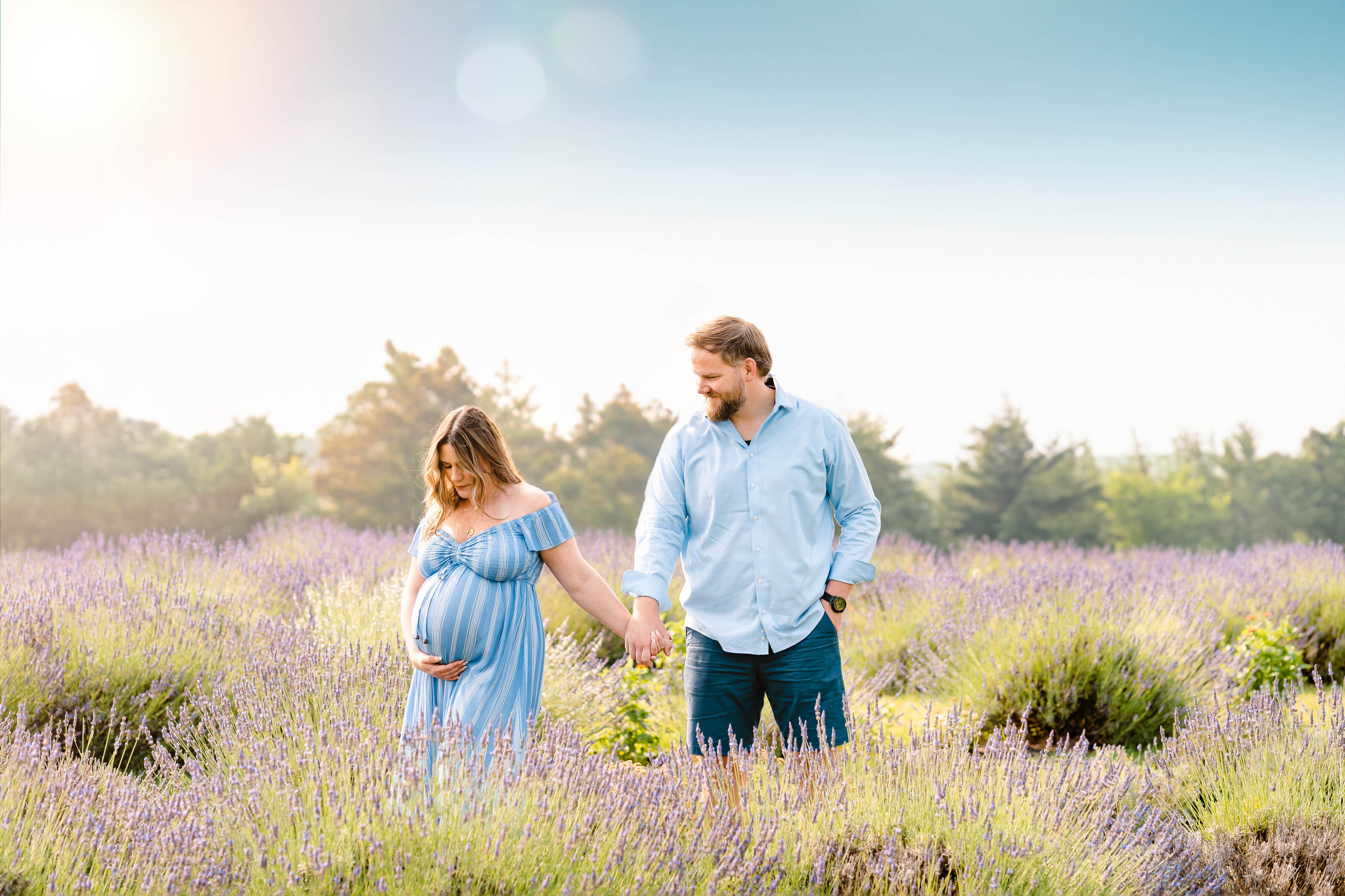 seven-oaks-lavender-farm (1 of 1)