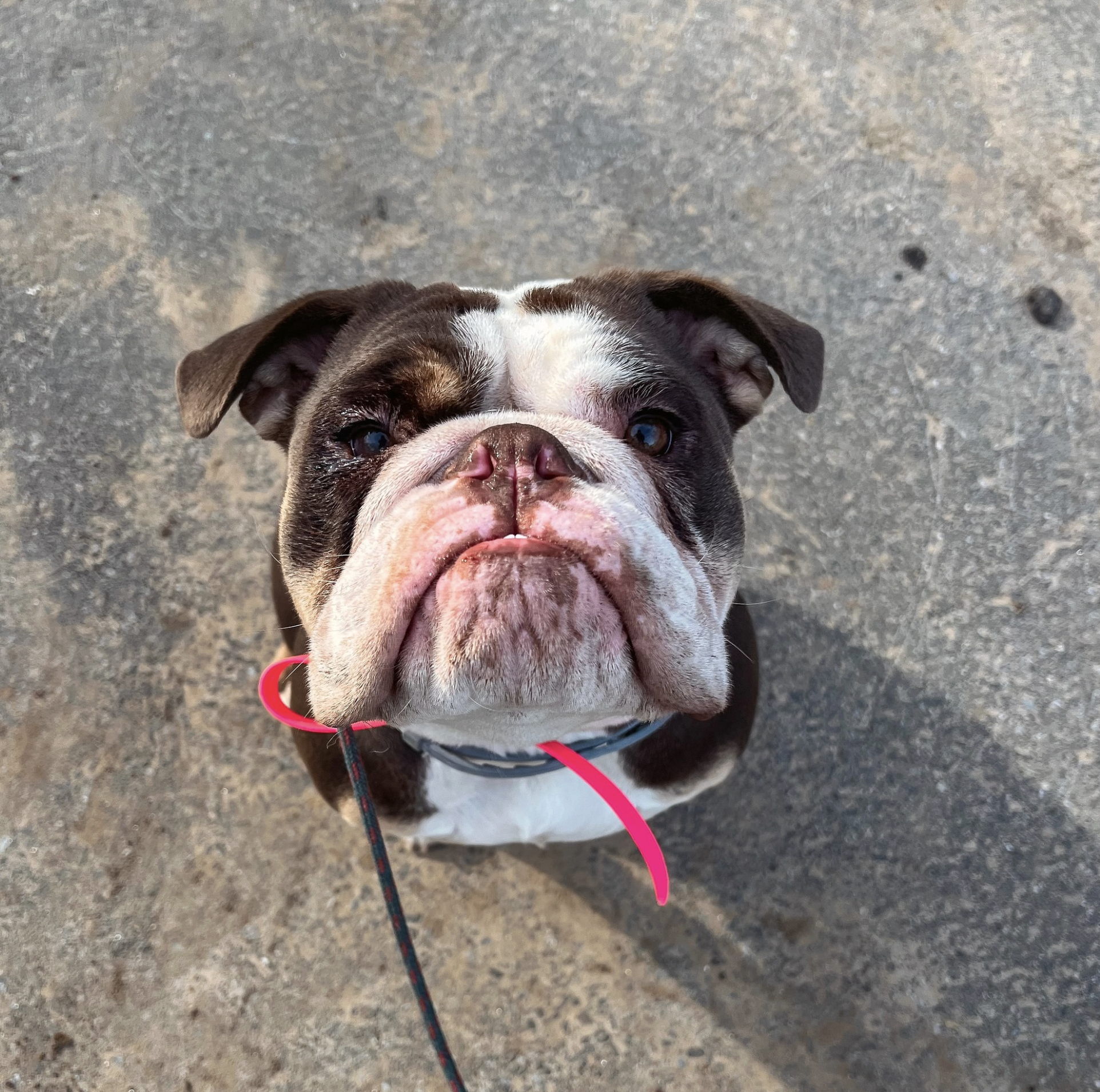 Screenshot 2025-10-24 at 2.37.14 PM