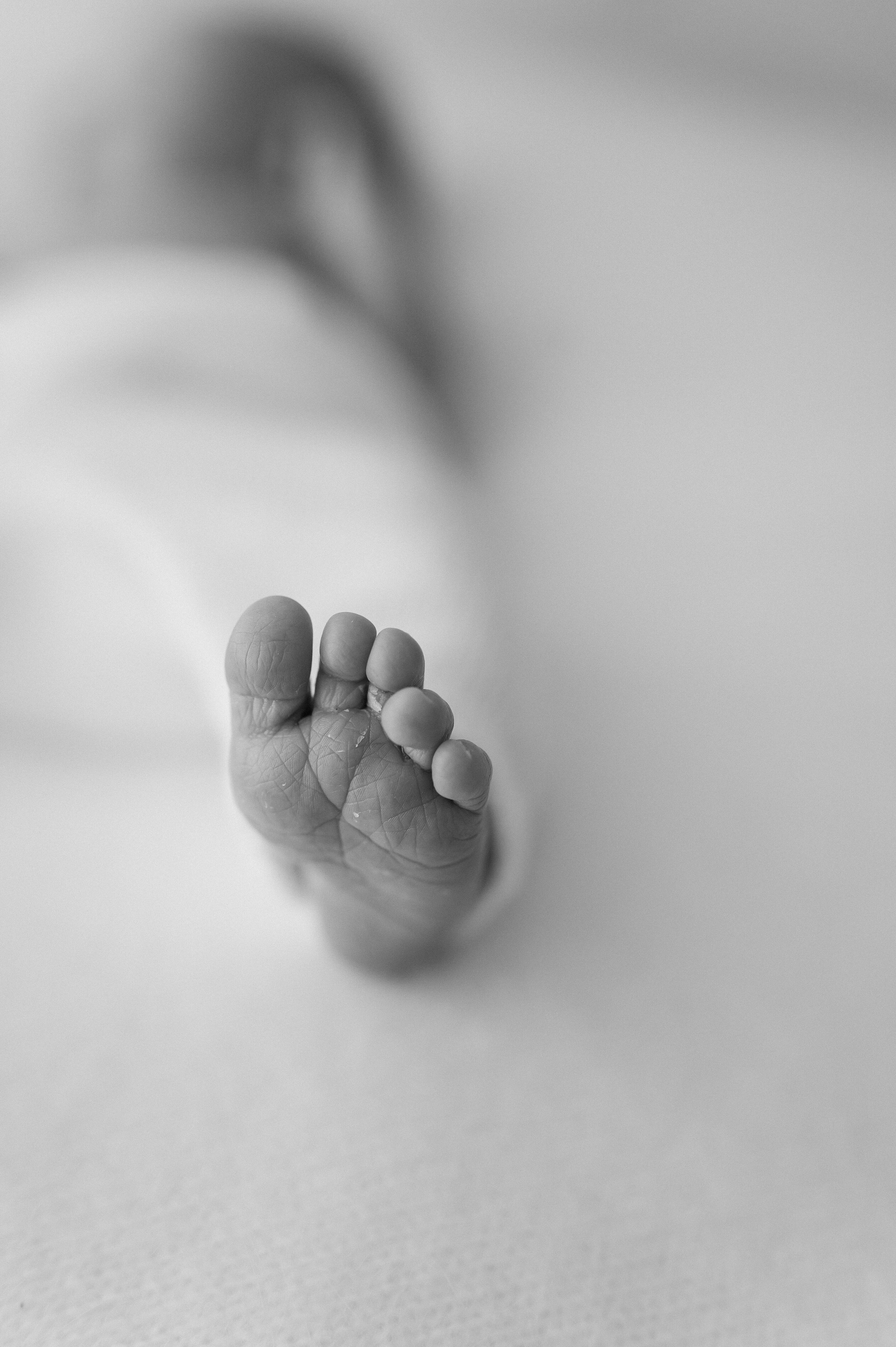 close up of beautiful baby feet