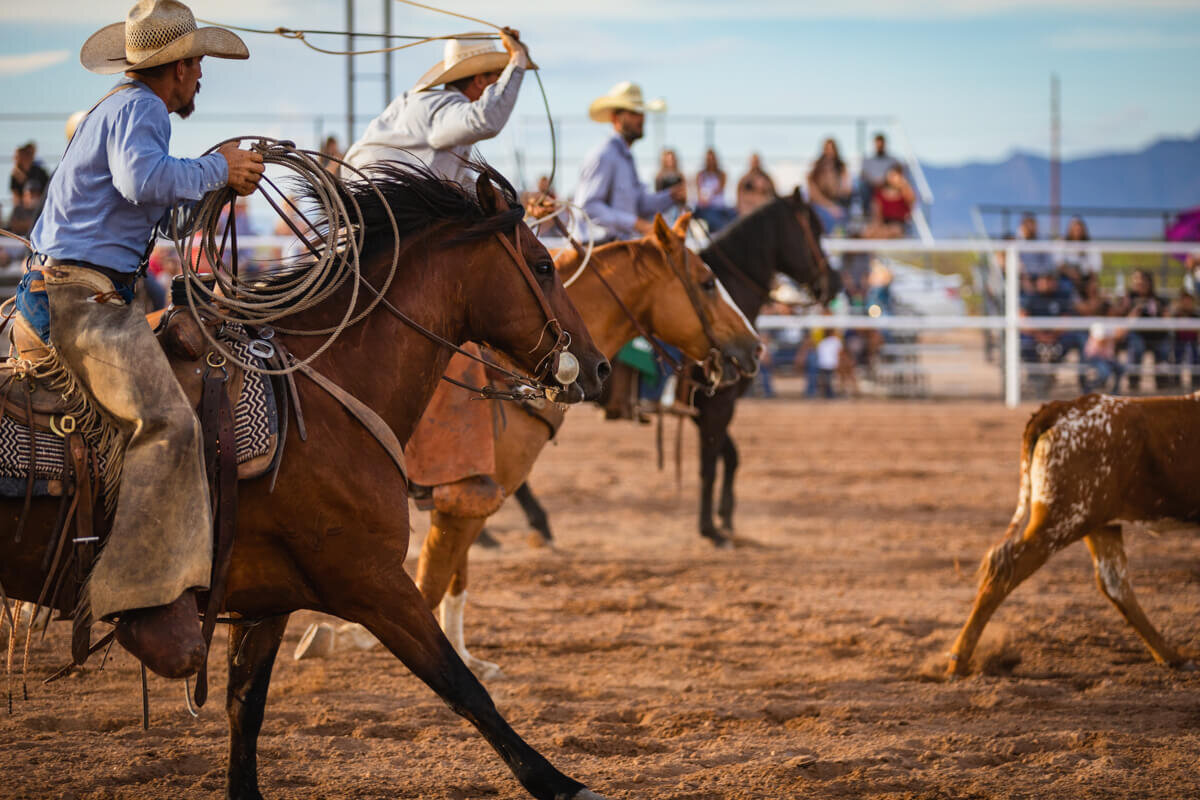 El Paso Rodeo Photography Horse Show Photography