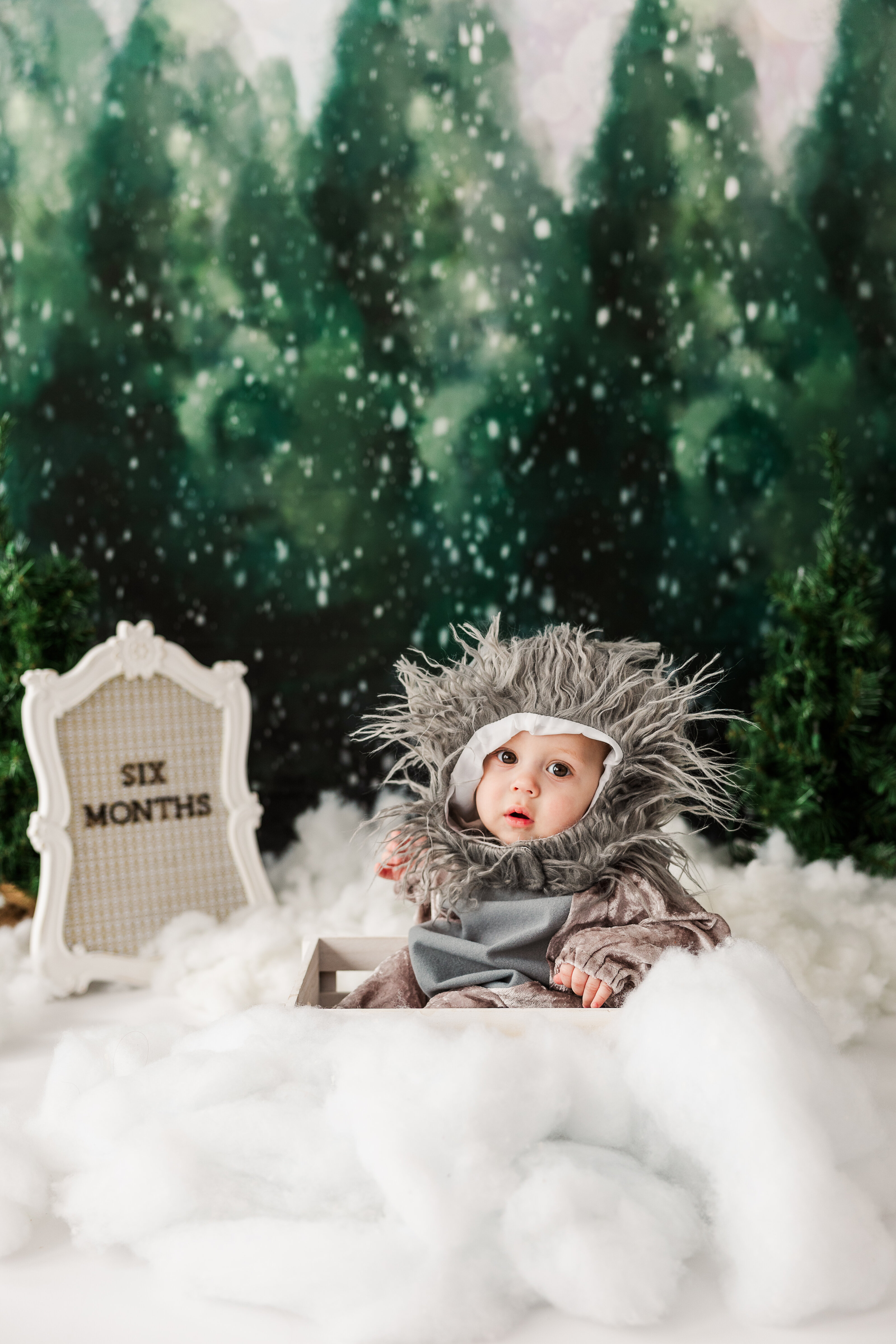 jeanizecilliersphotograph-RHETT6MONTHS-6