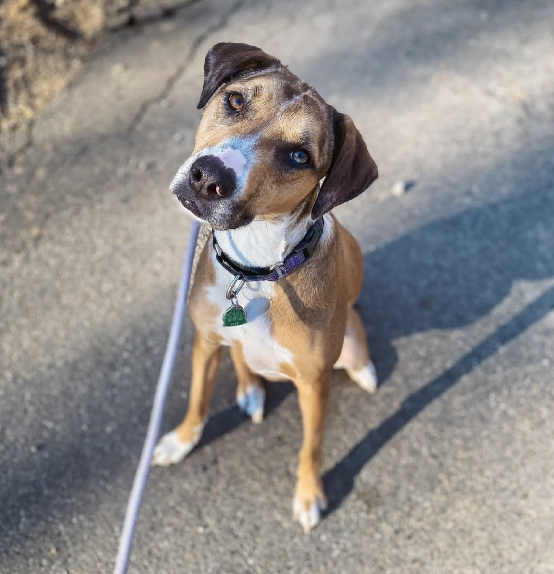 Screenshot 2025-10-24 at 2.38.14 PM