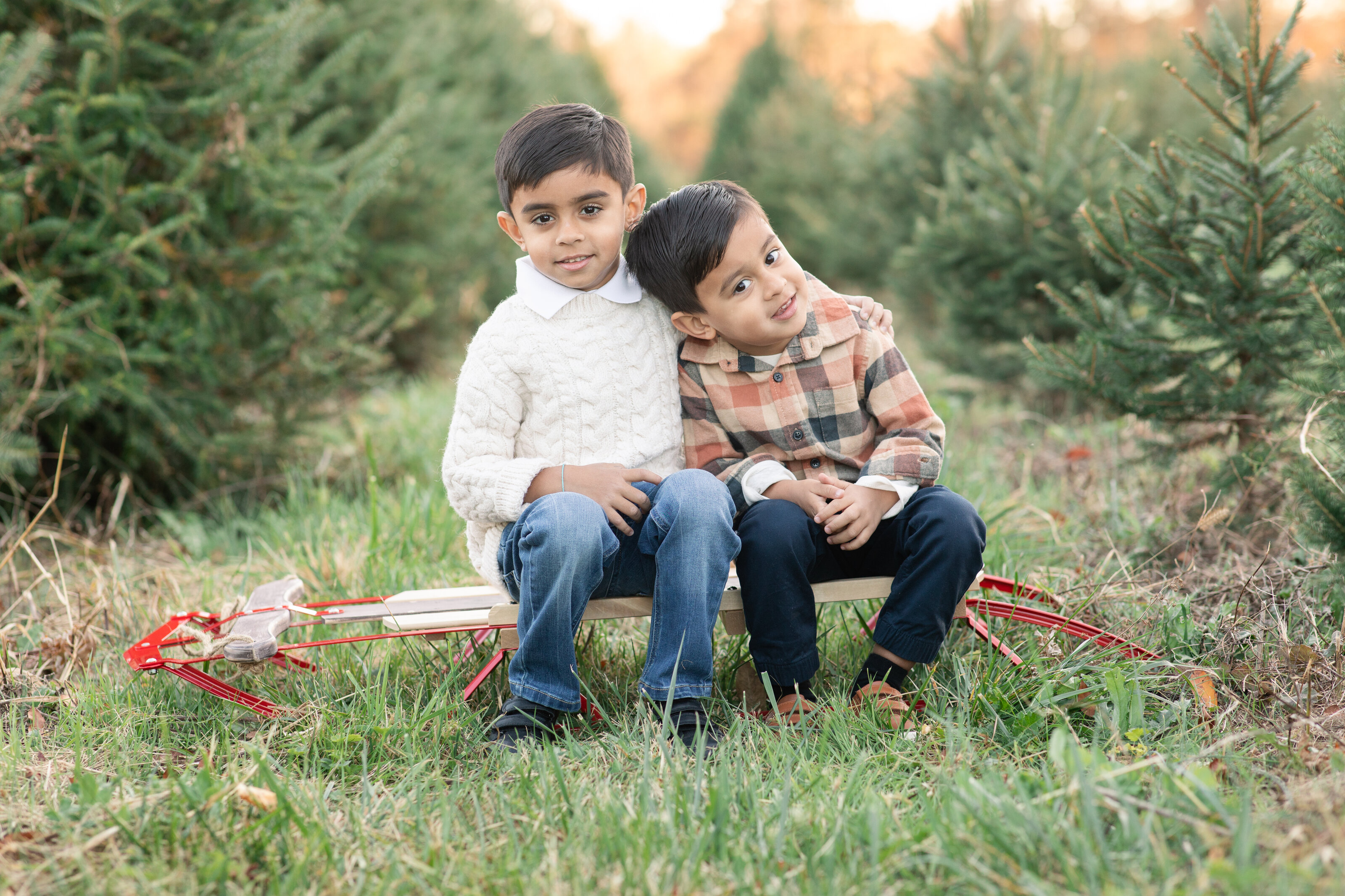 Christmas Tree Farm Sessions