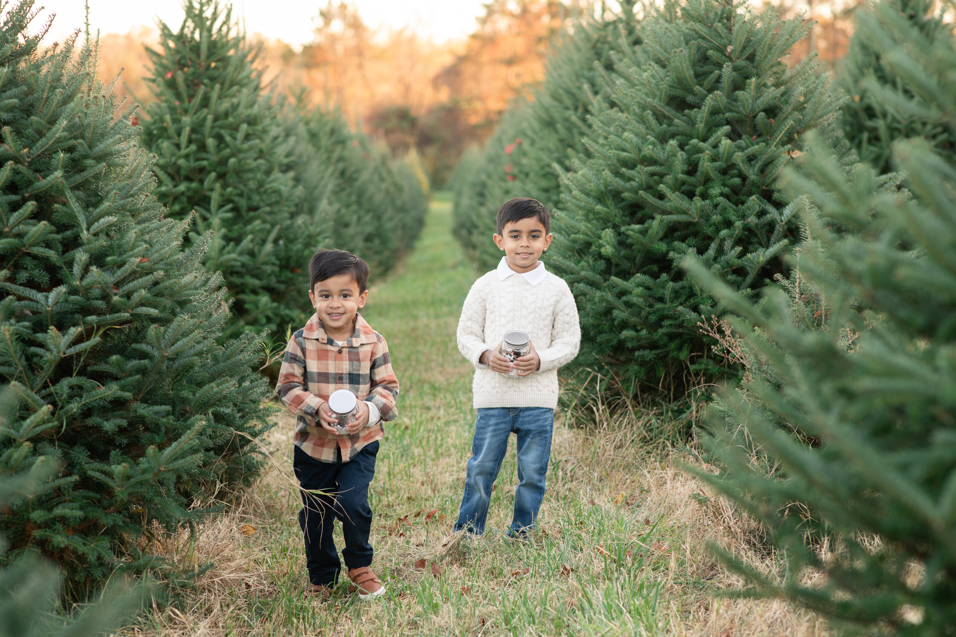 Christmas Tree farm sessions