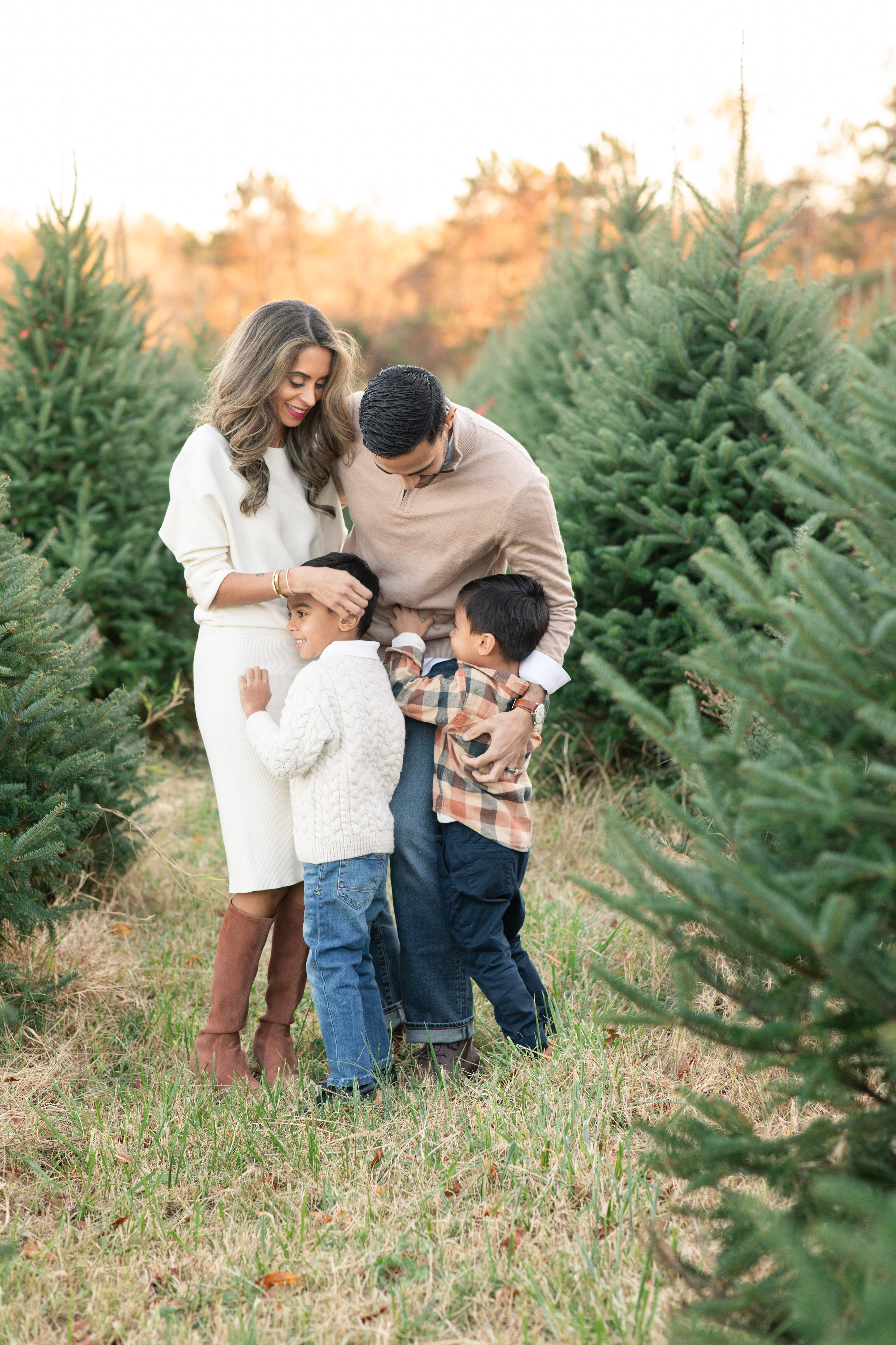 Tree Farm