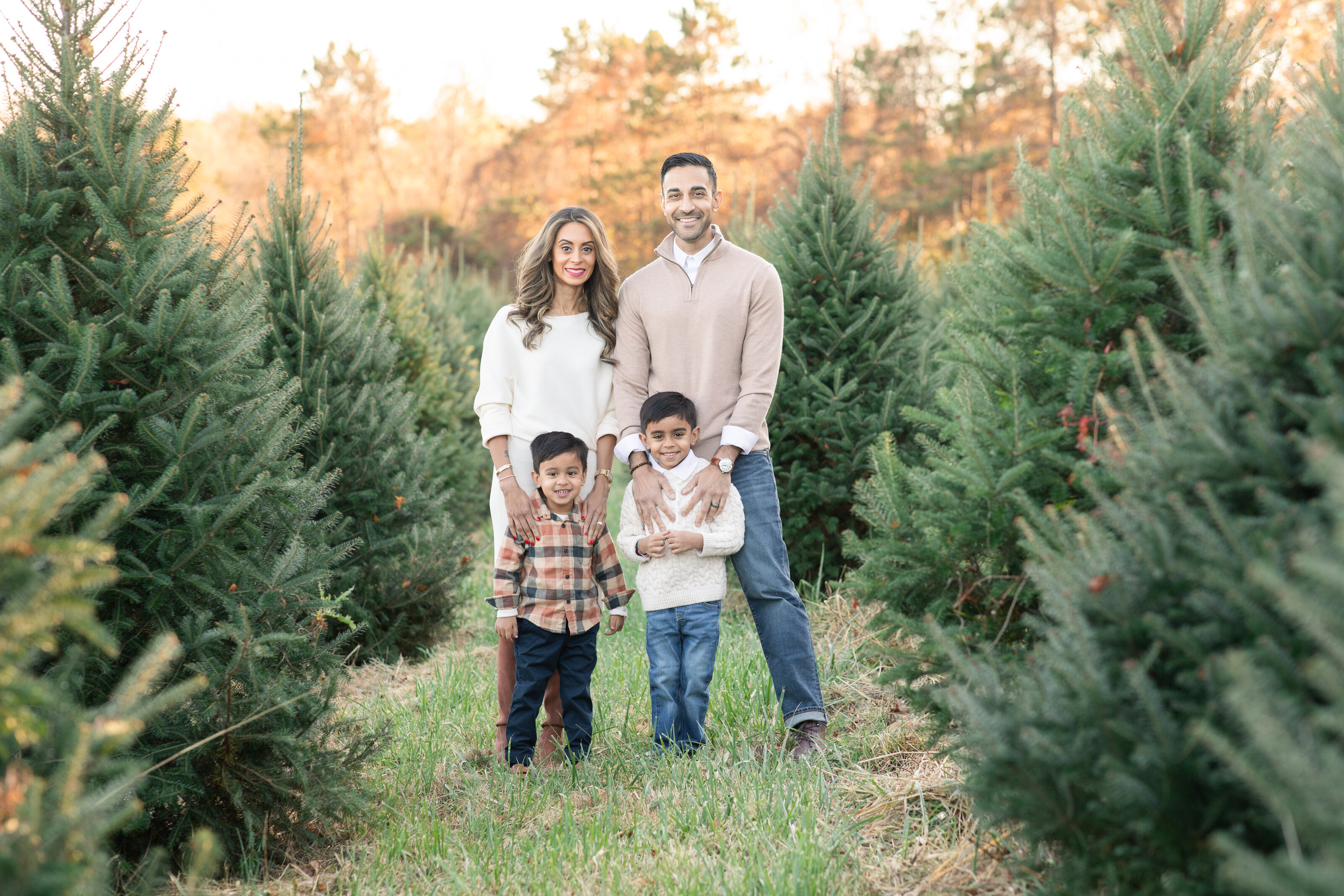 Tree farm