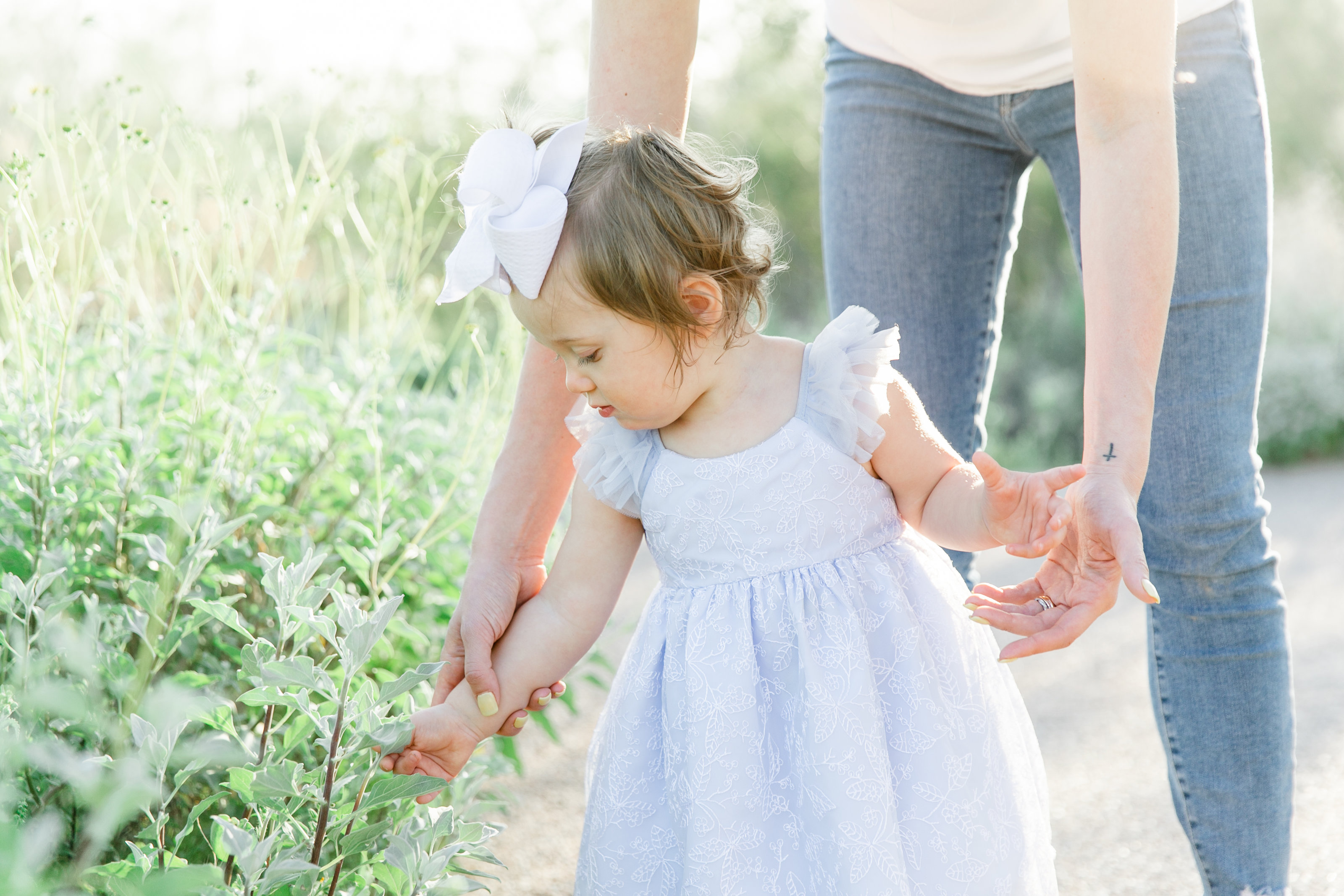 Karlie Colleen Photography - Scottsdale family photography - Dymin & family-67