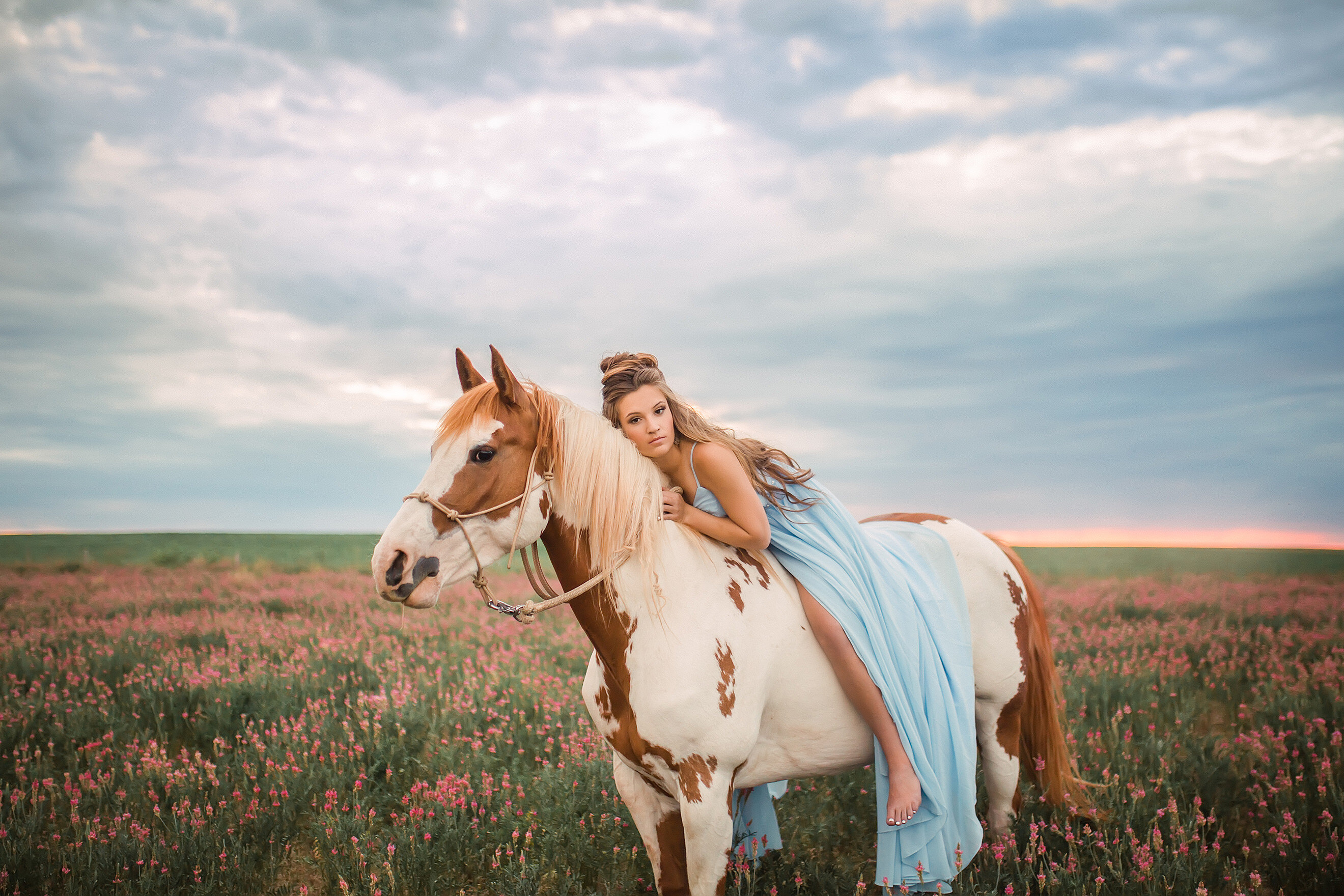 senior girl with long dark hair laying on brown and white paint horse at sunset in a field of pink flowers