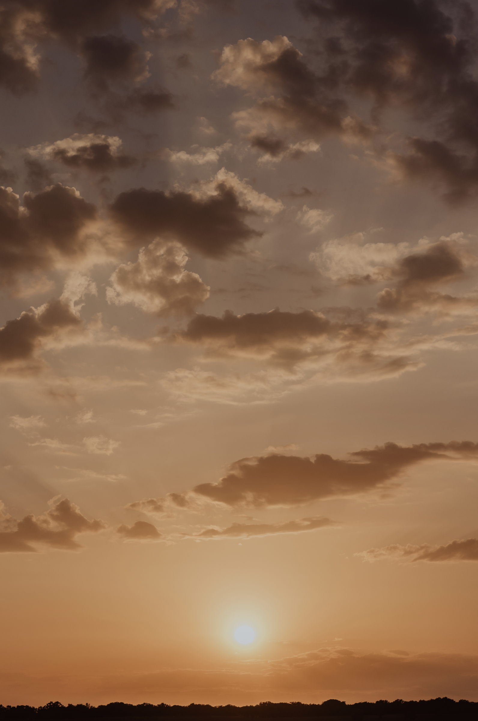 Scherm­afbeelding 2024-11-28 om 15.06.04