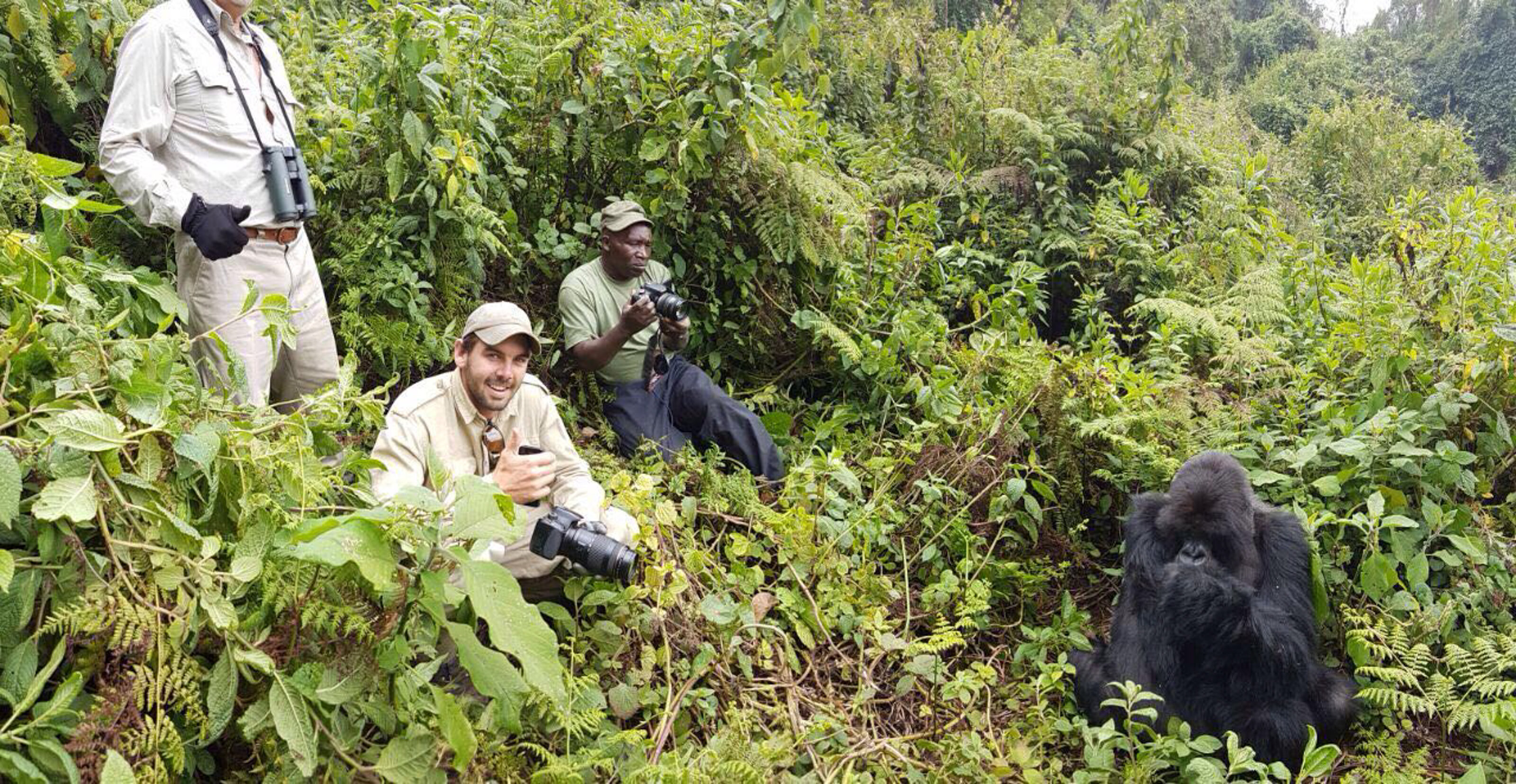 Gorilla trekking Scott