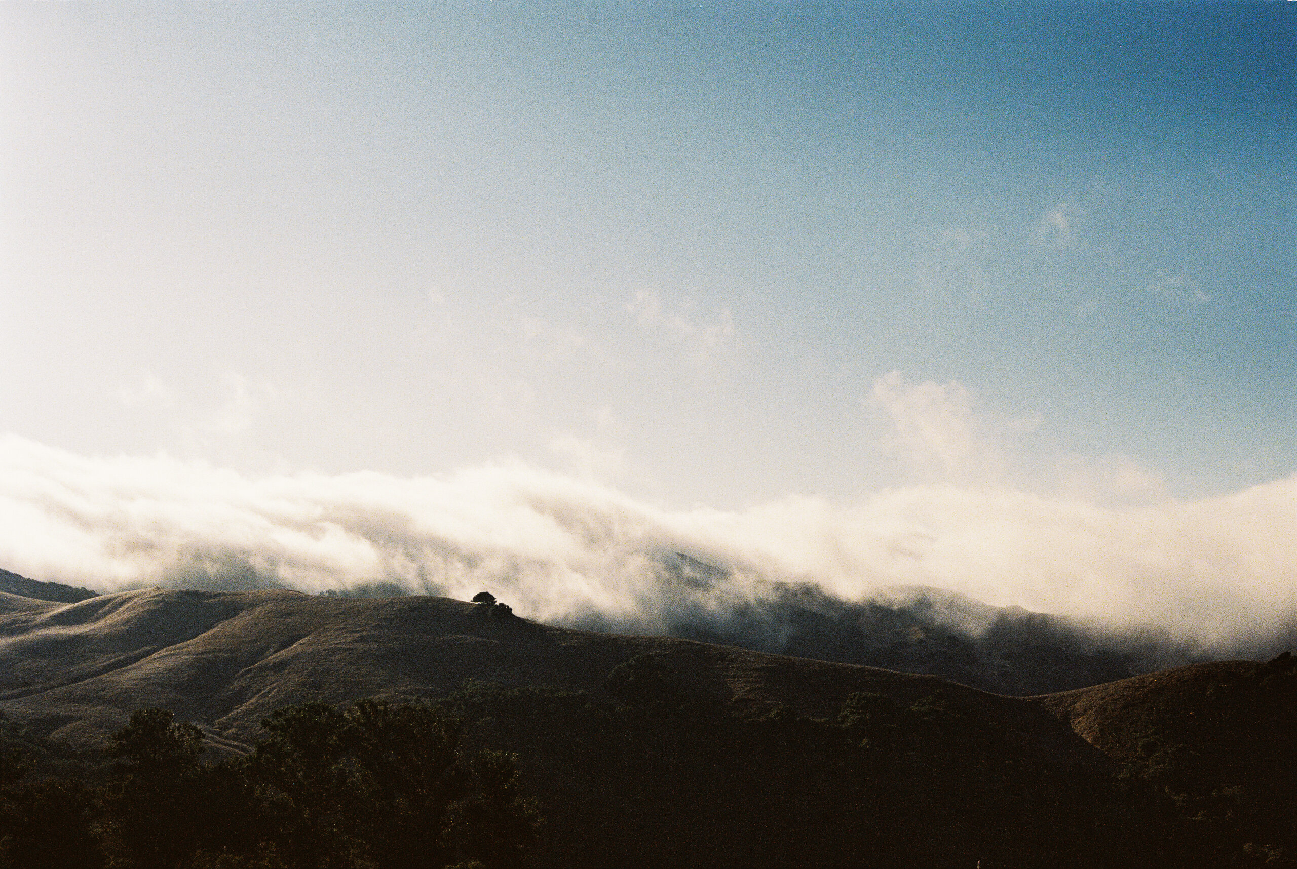San Luis Obispo Photographer-27