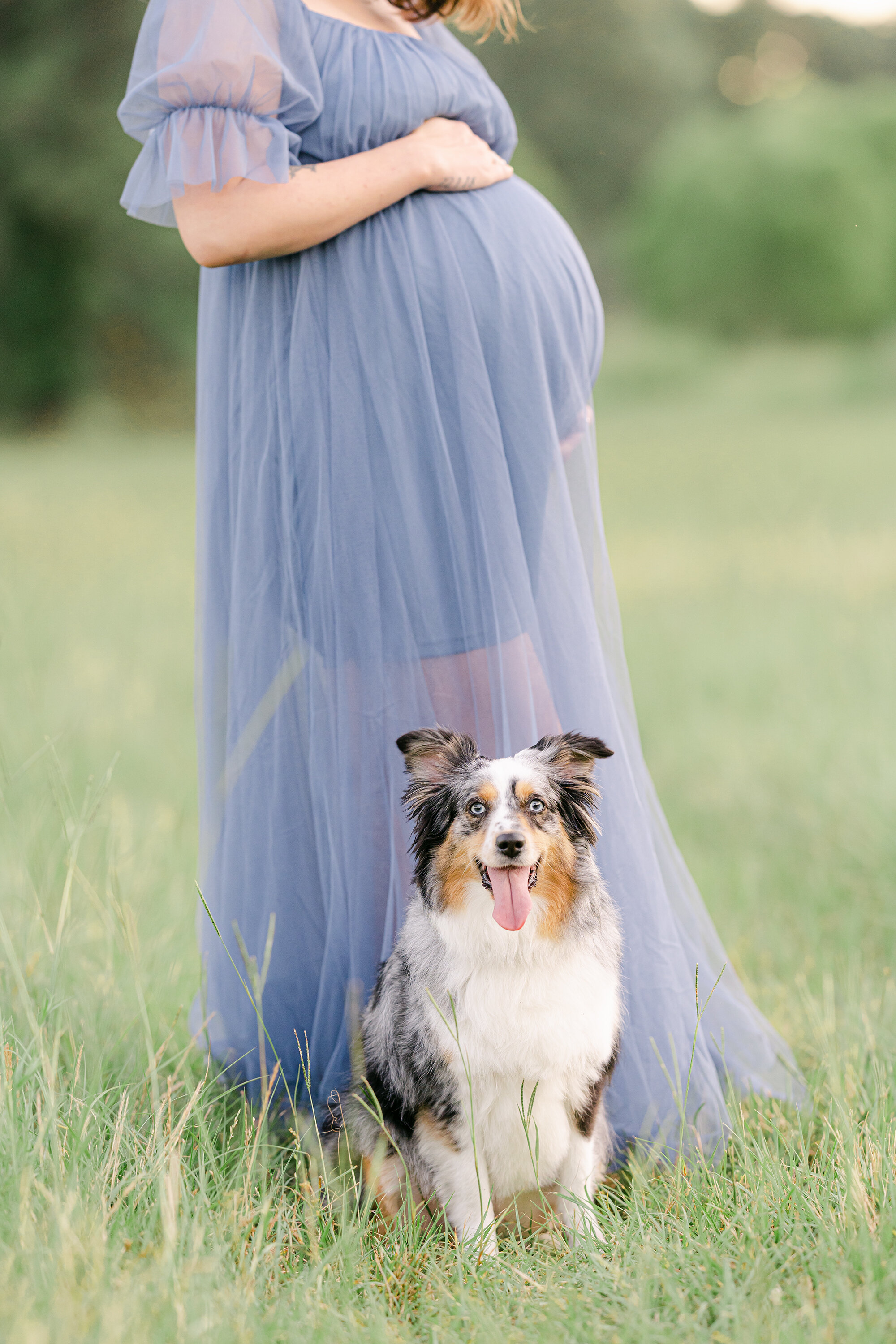 maternity photos with dog birmingham