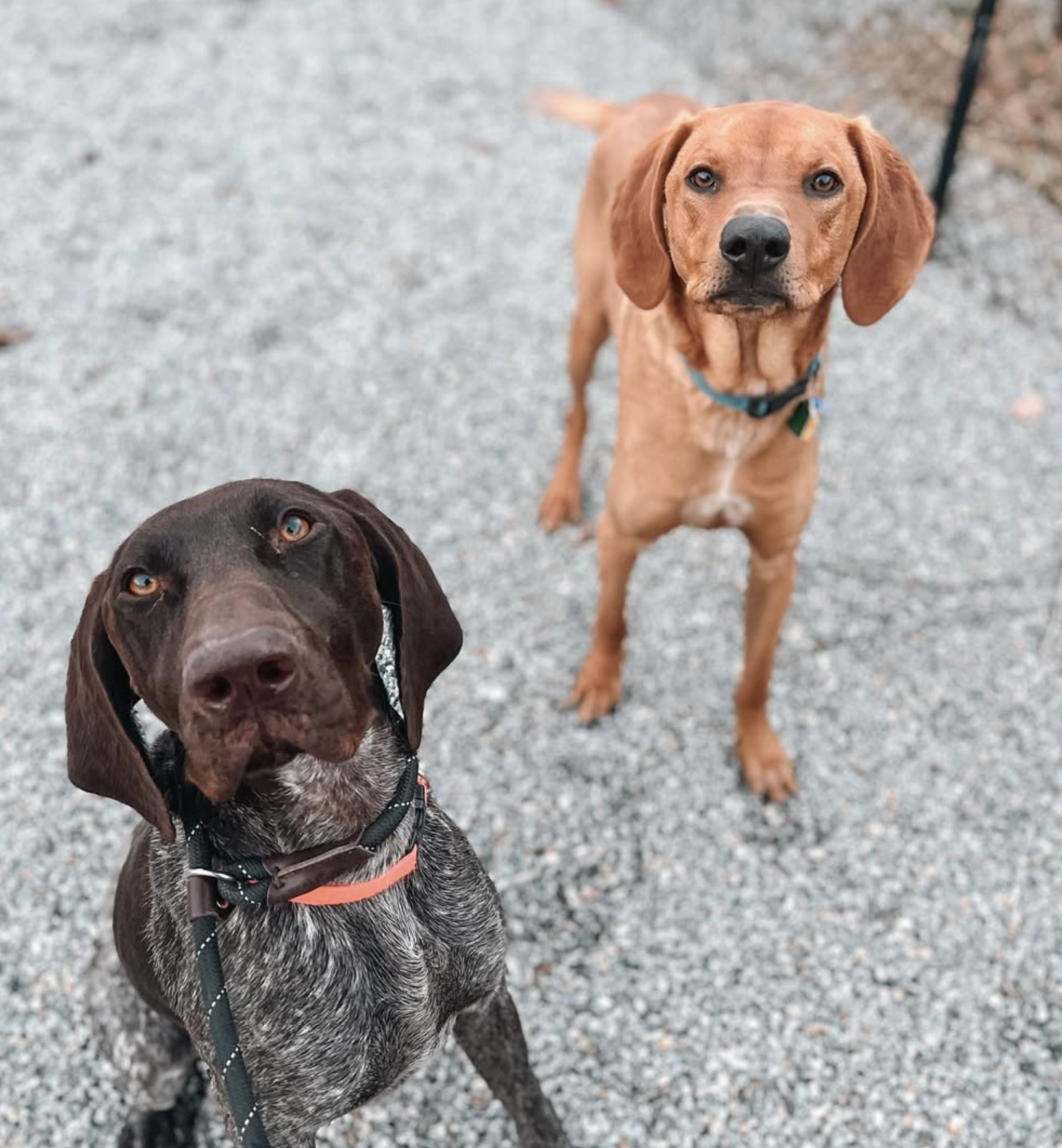 Screenshot 2025-10-24 at 2.39.01 PM