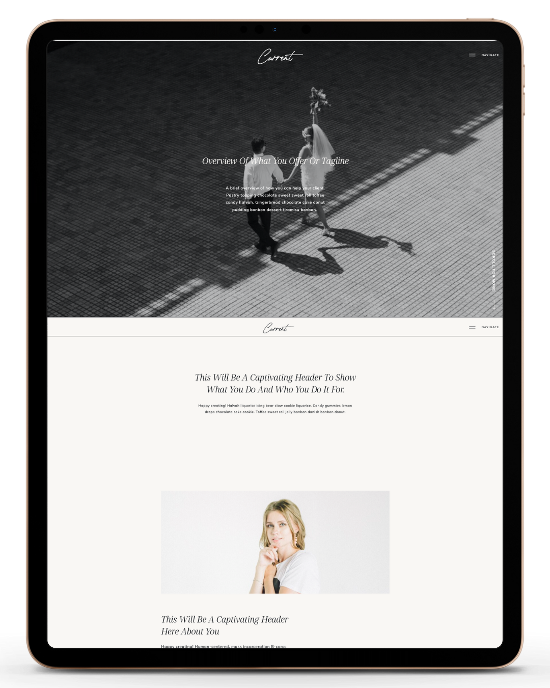 Current Showit Website Template