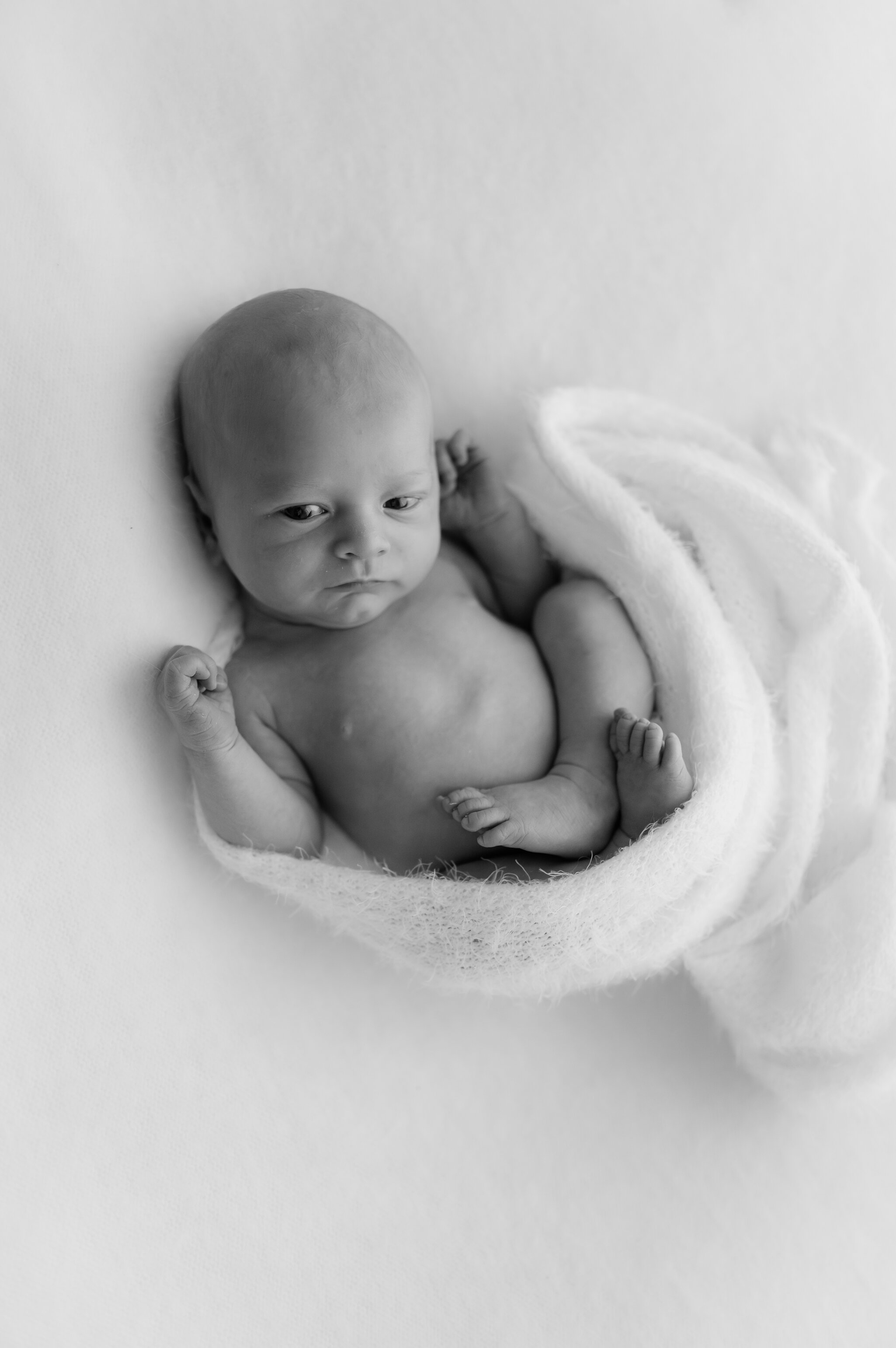 newborn photographer near me in york-17