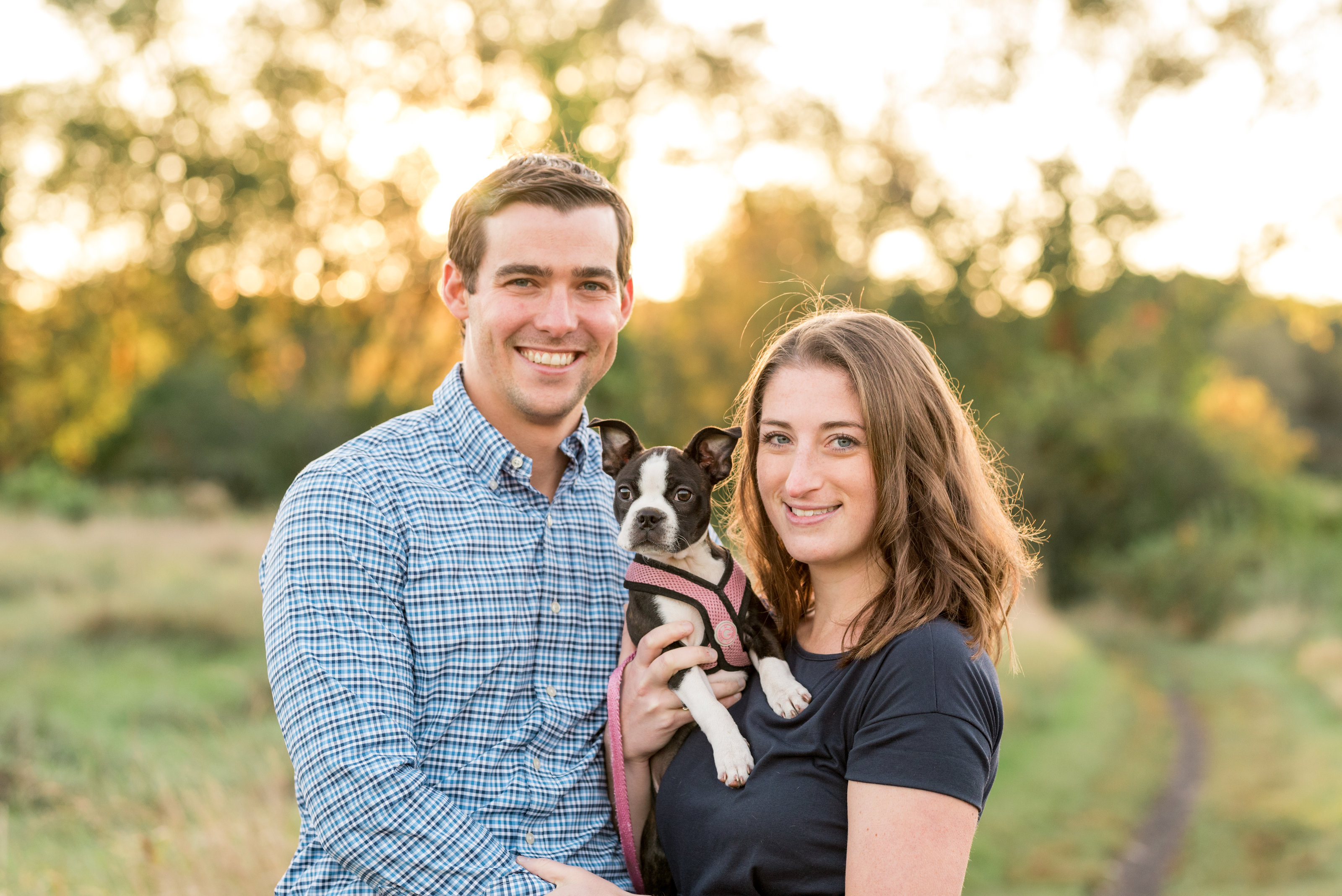 Boston Terrier Puppy