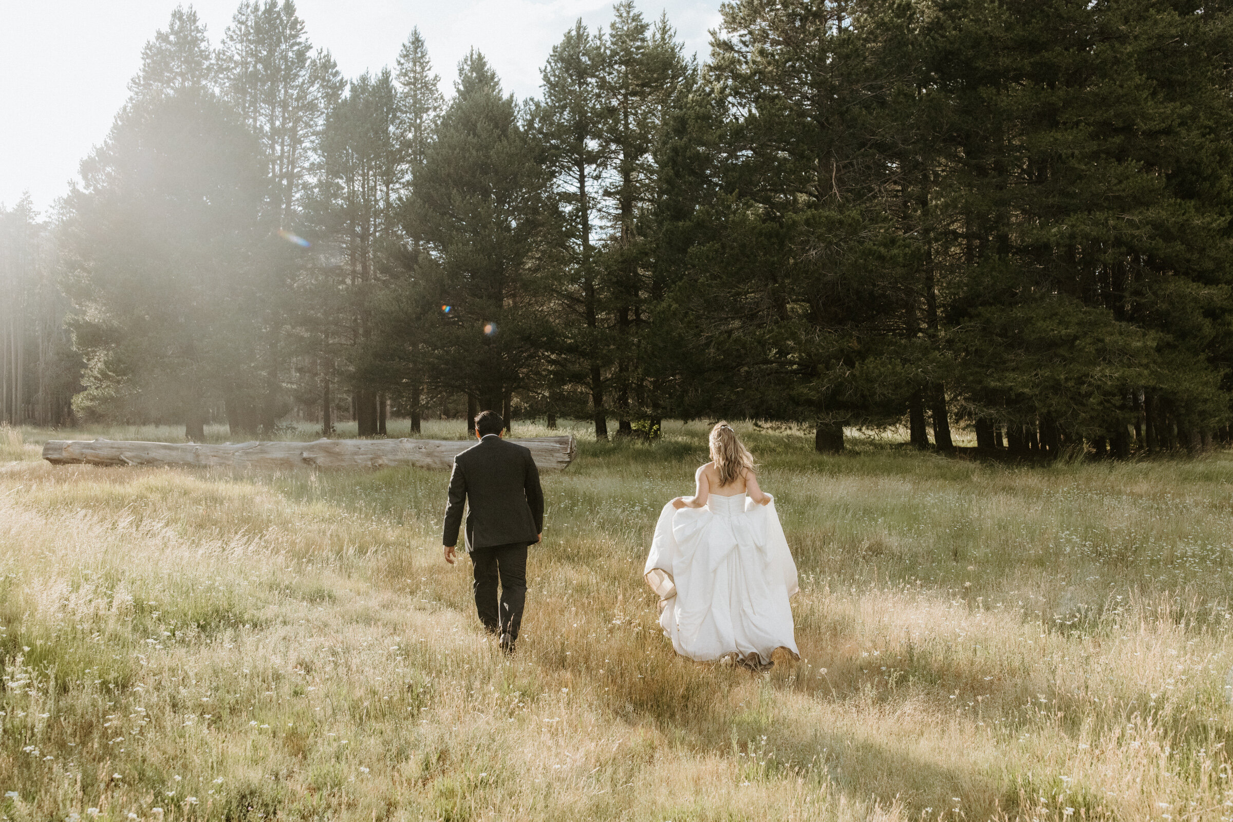 wedding in lake tahoes forrest