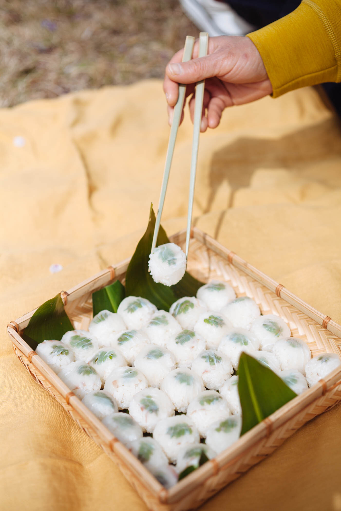 Temarizushi-11