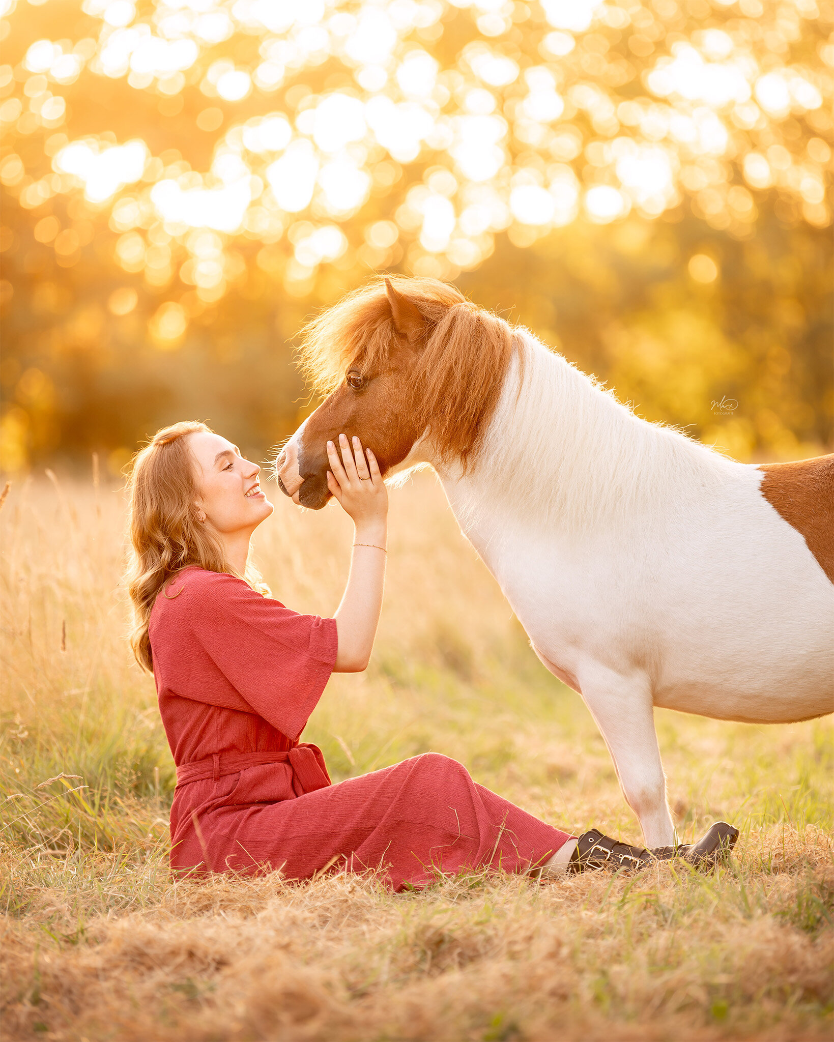 2024 paardenfotograaf friesland