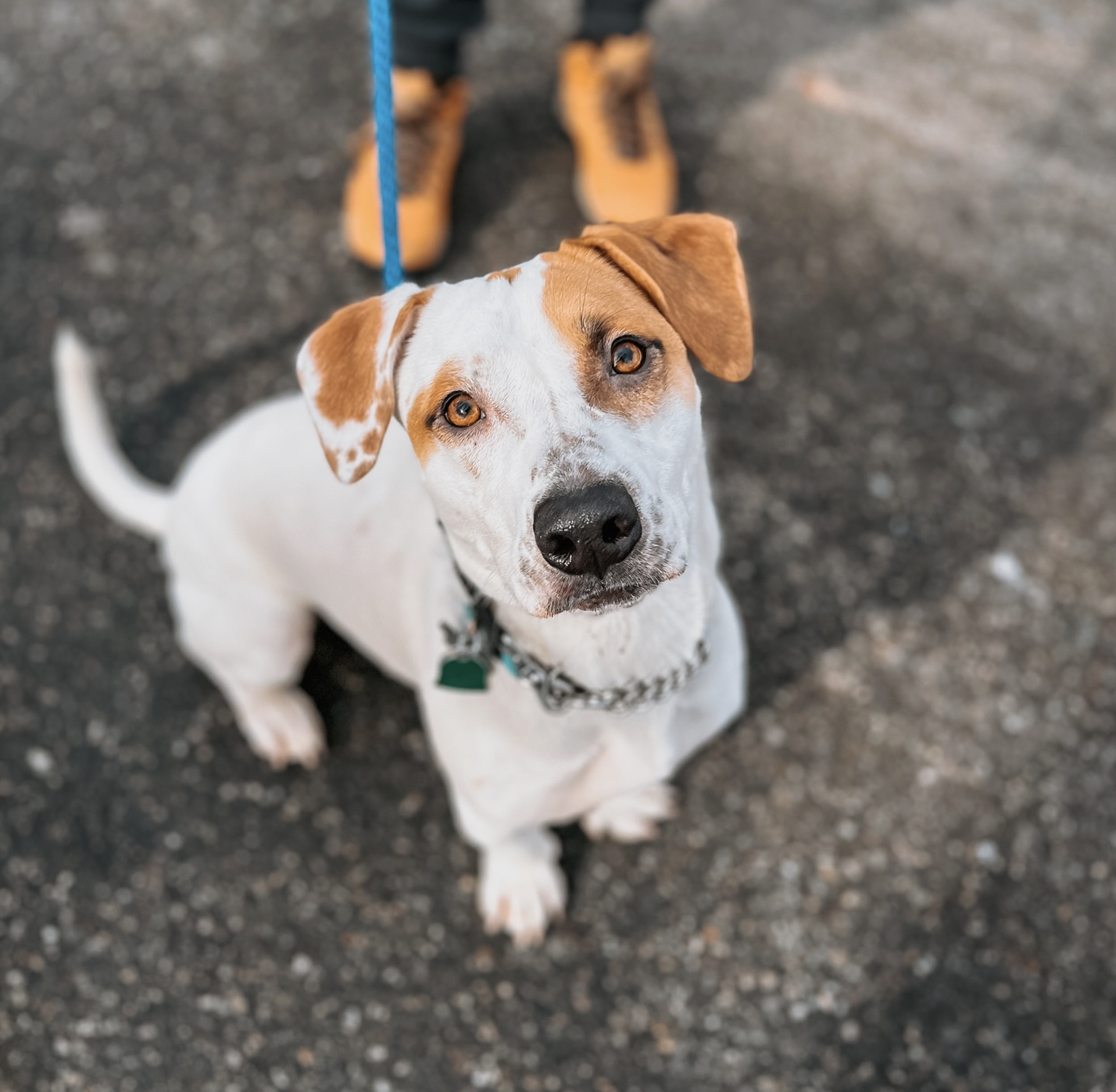 Screenshot 2025-10-24 at 2.38.38 PM