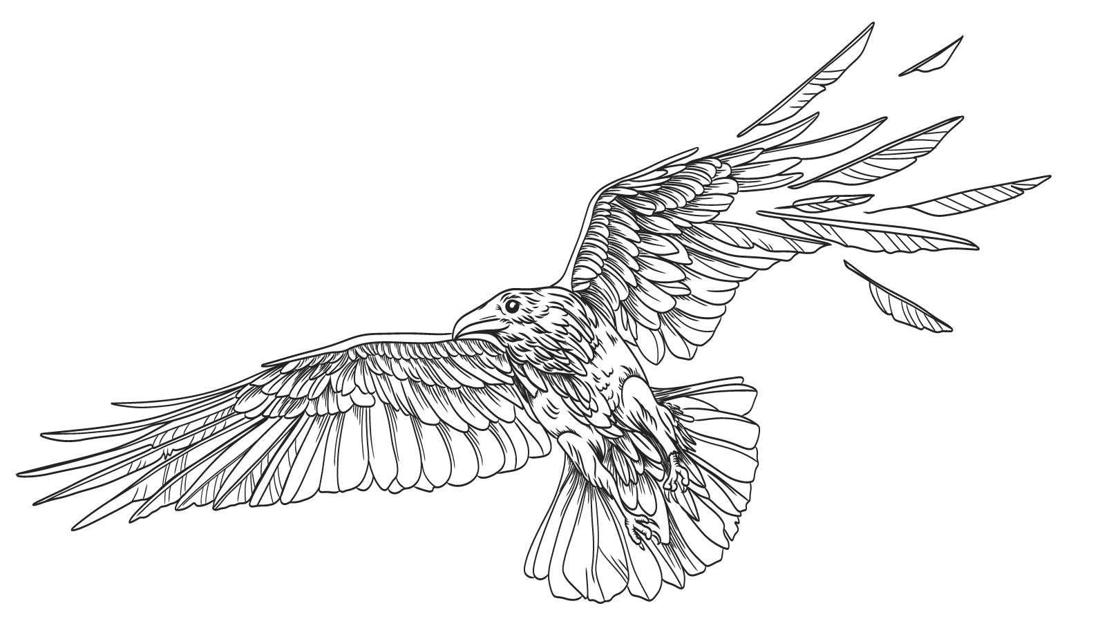 custom illustrations and logos for photographers 123