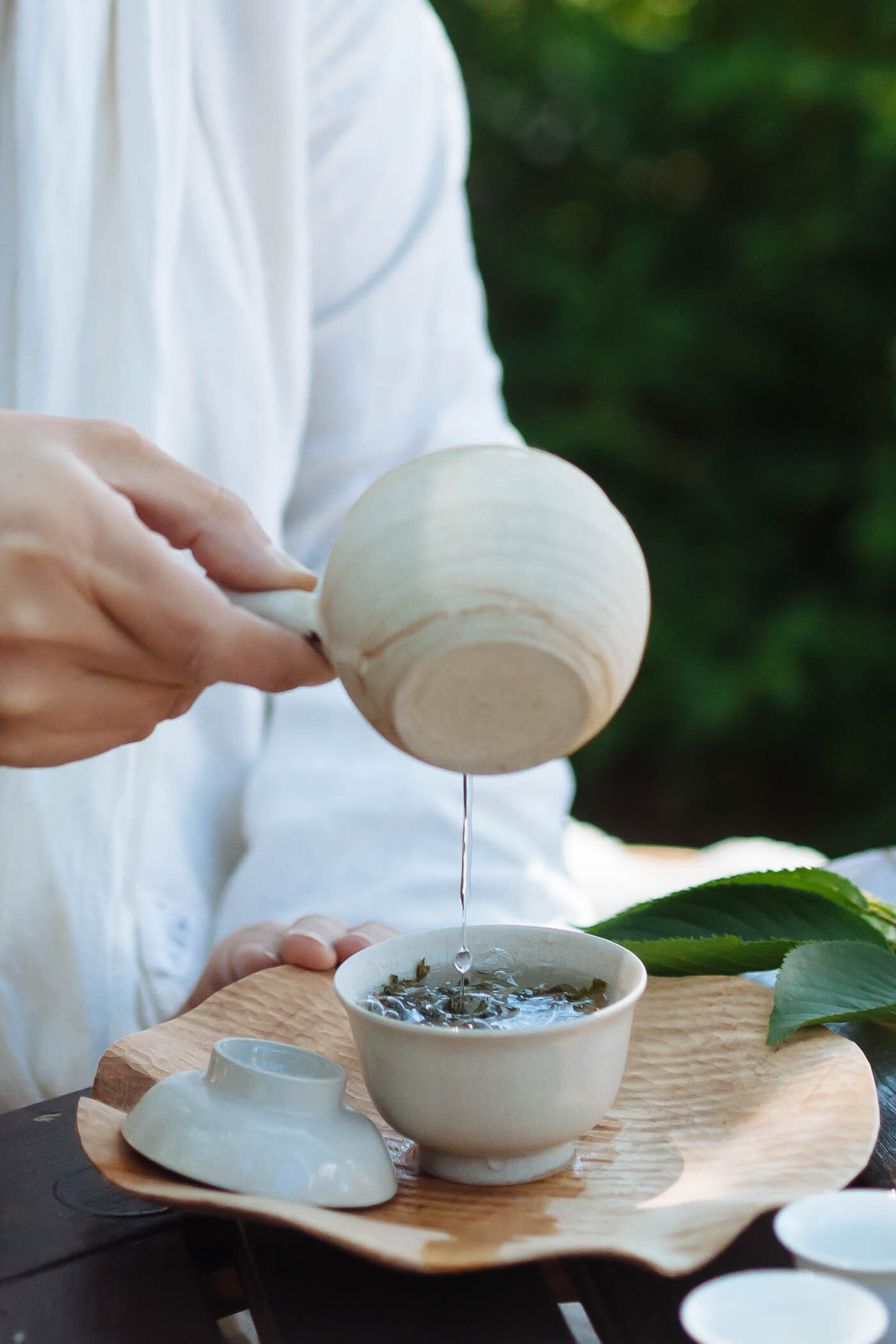 PSW Wild Tea Harvest-5