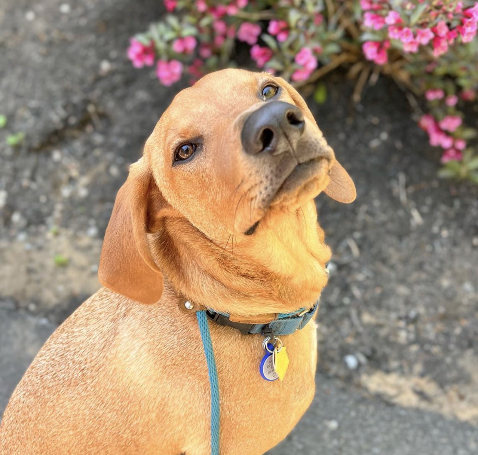 Screenshot 2025-10-24 at 2.40.15 PM