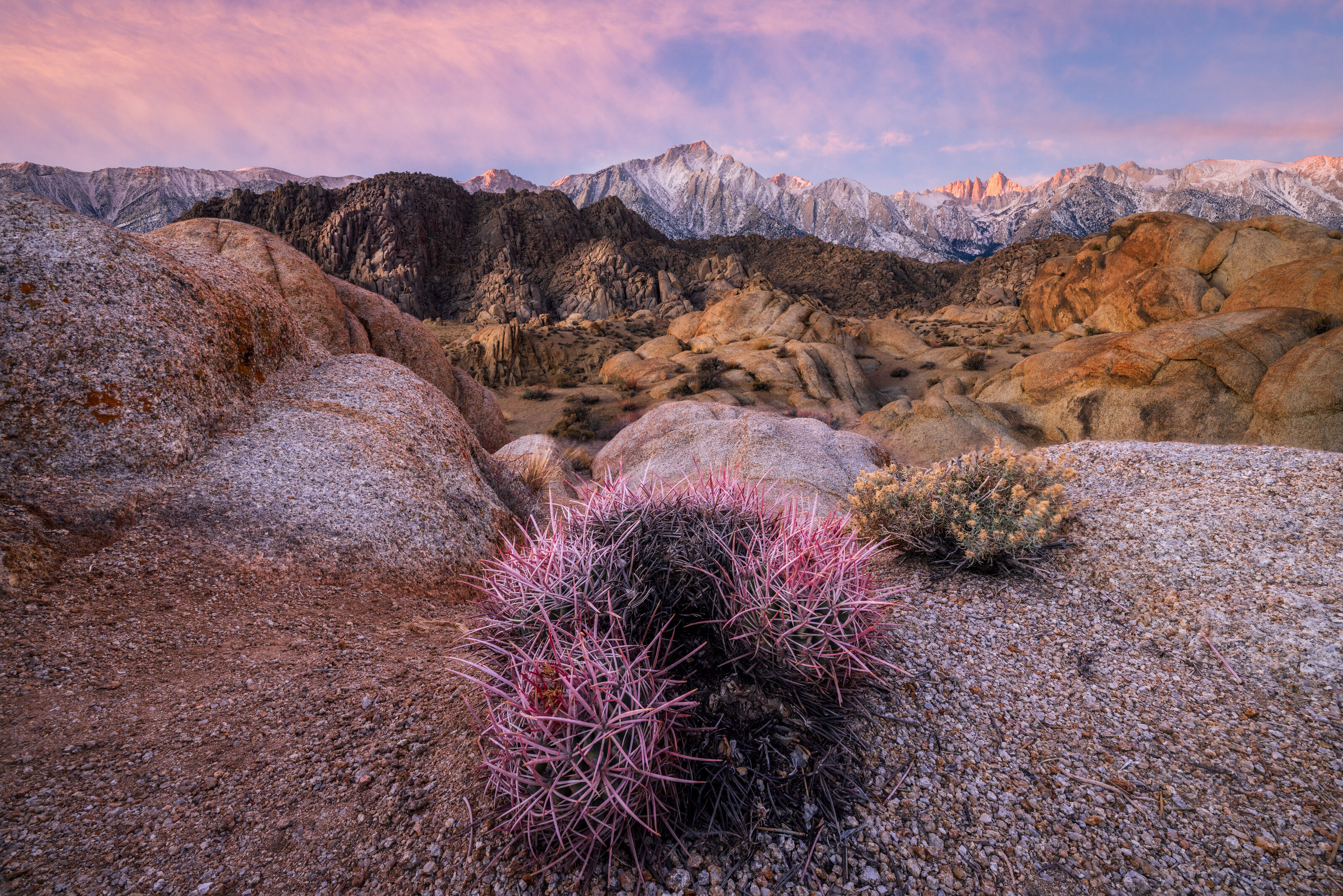 Alabama Hills Sunrise with Cactus
