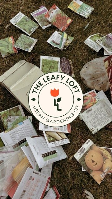 the leafy loft 1  