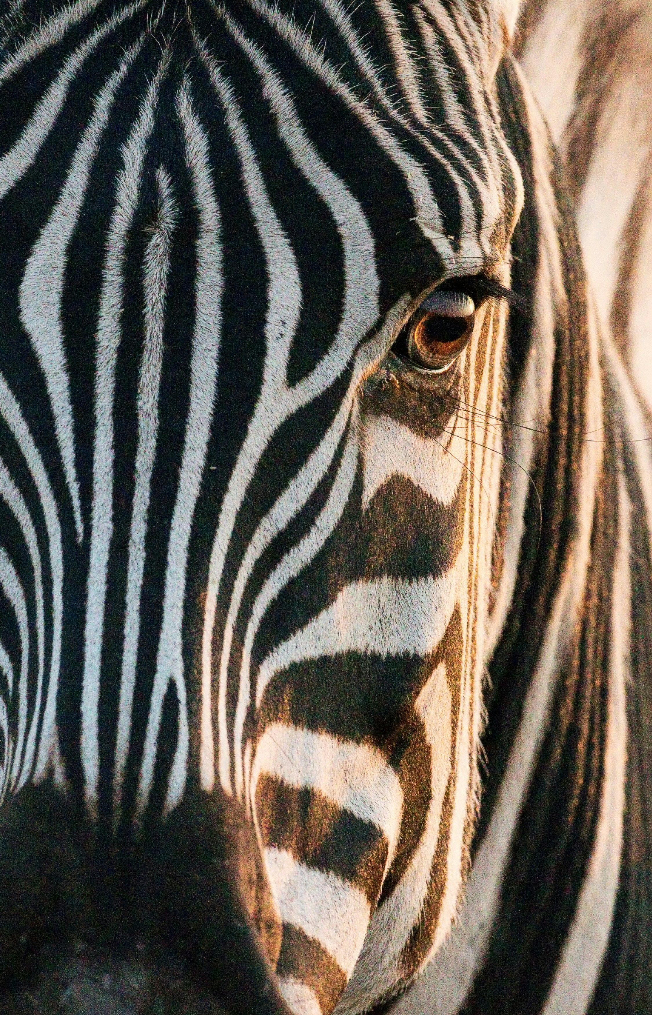 hans-veth-6VZC1vA-DMc-unsplash