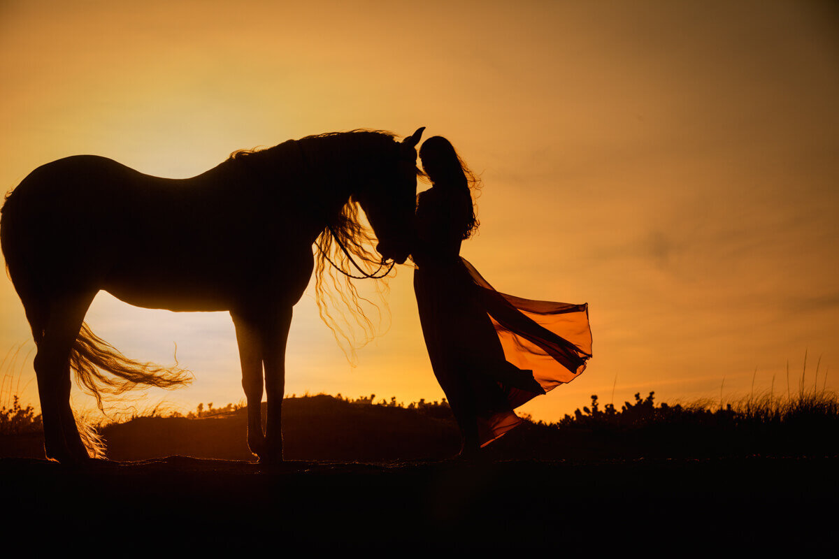 El-Paso-Texas-Horse-Photographer-021