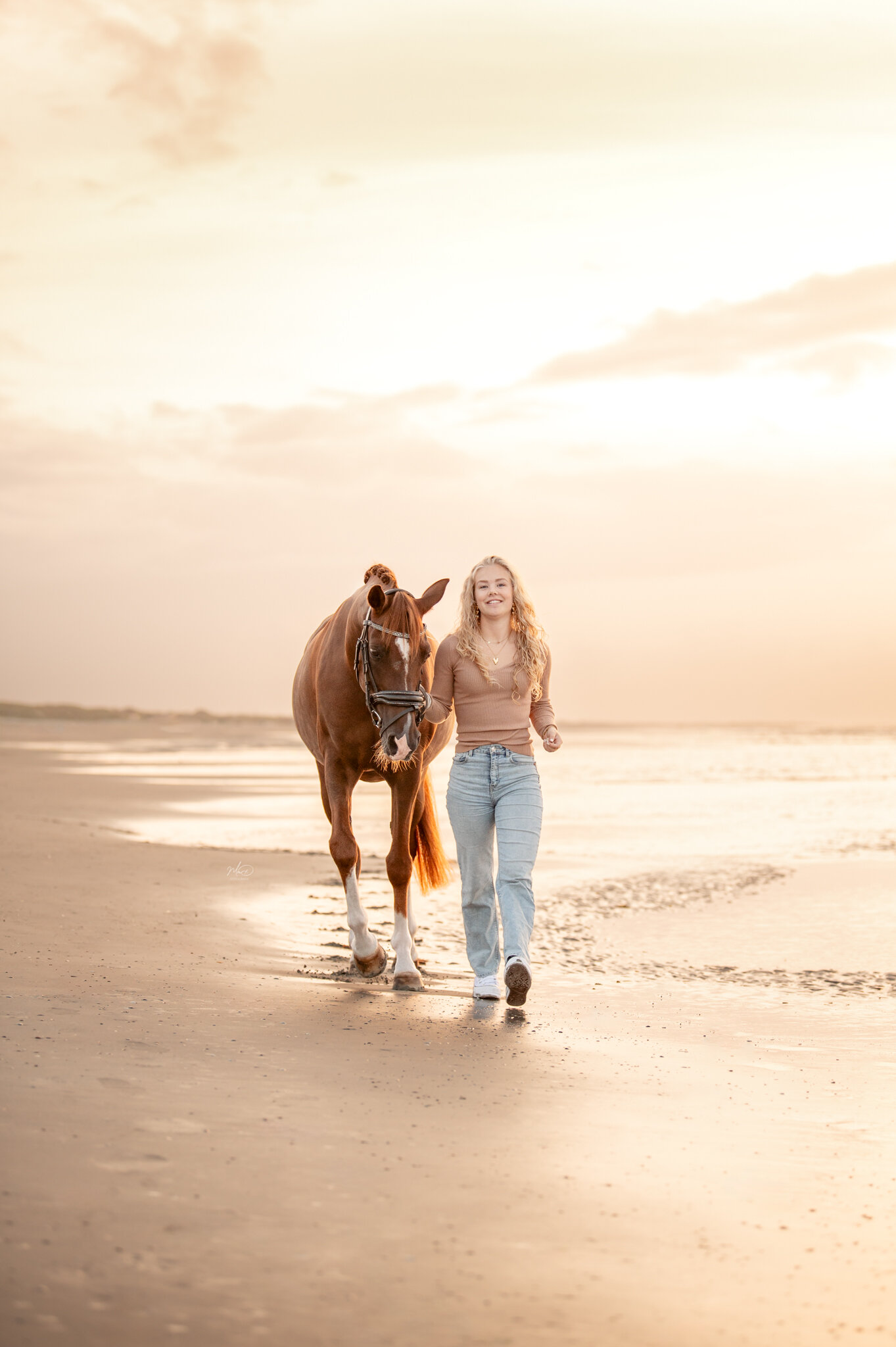 paardenfotograaf ameland (1)